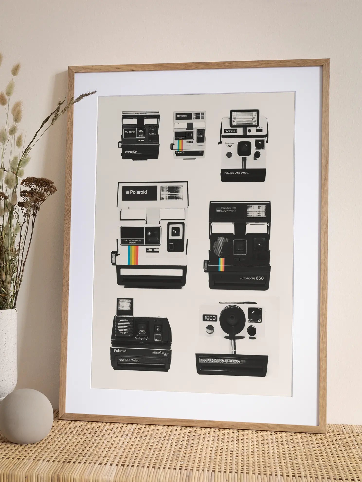 Polaroid Cameras Poster