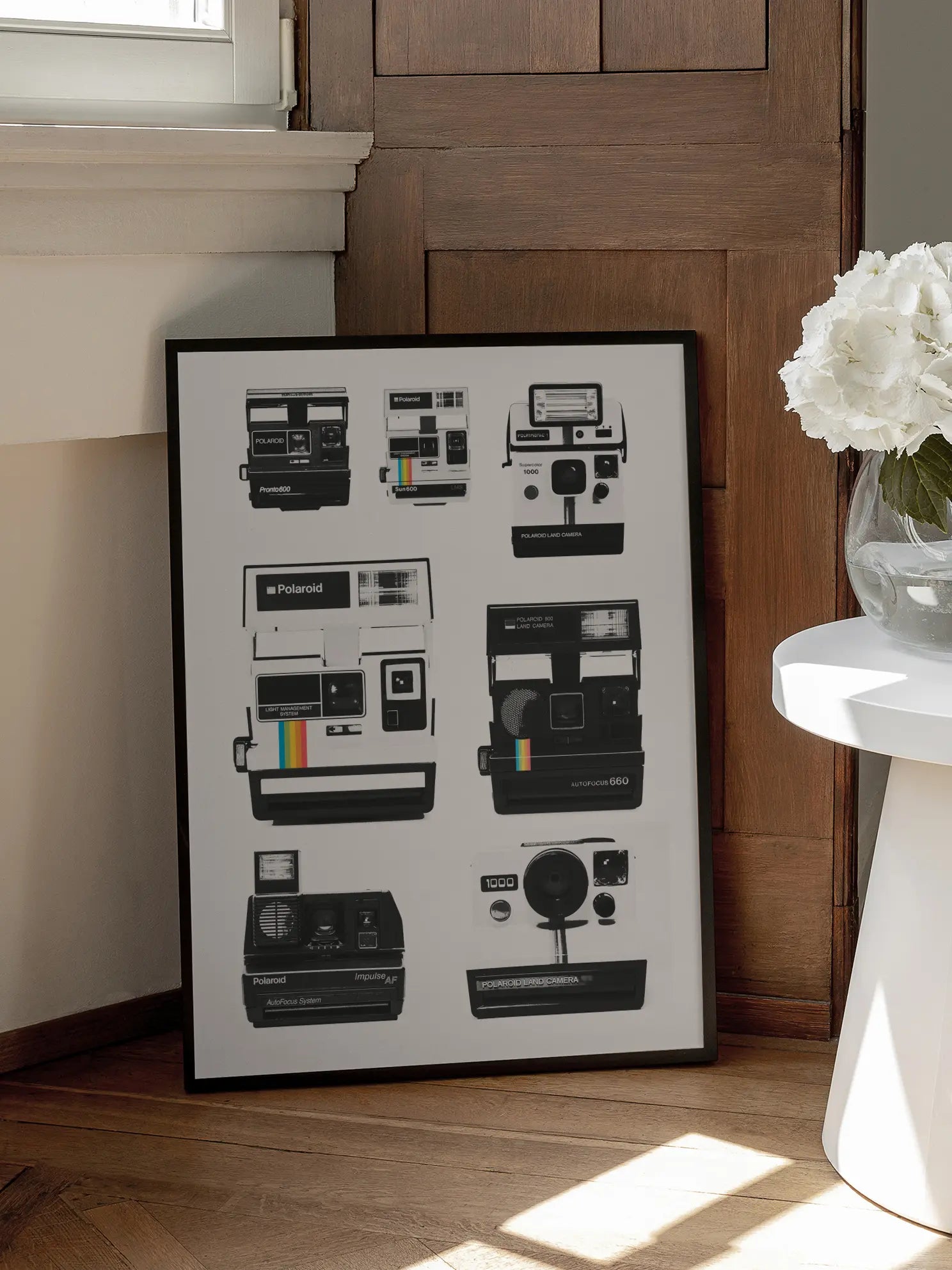 Polaroid Cameras Poster