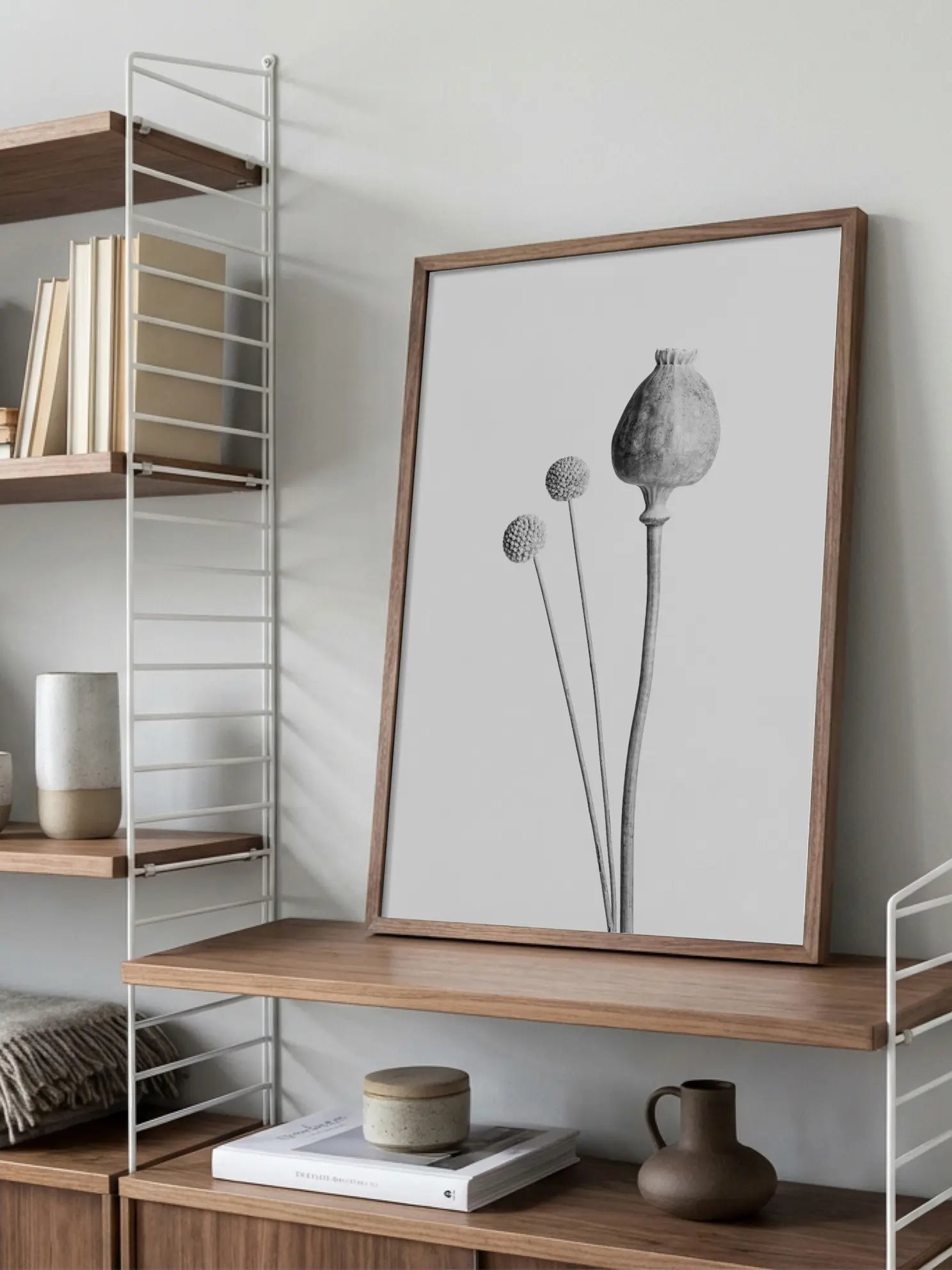 Poppy and Craspedia Poster