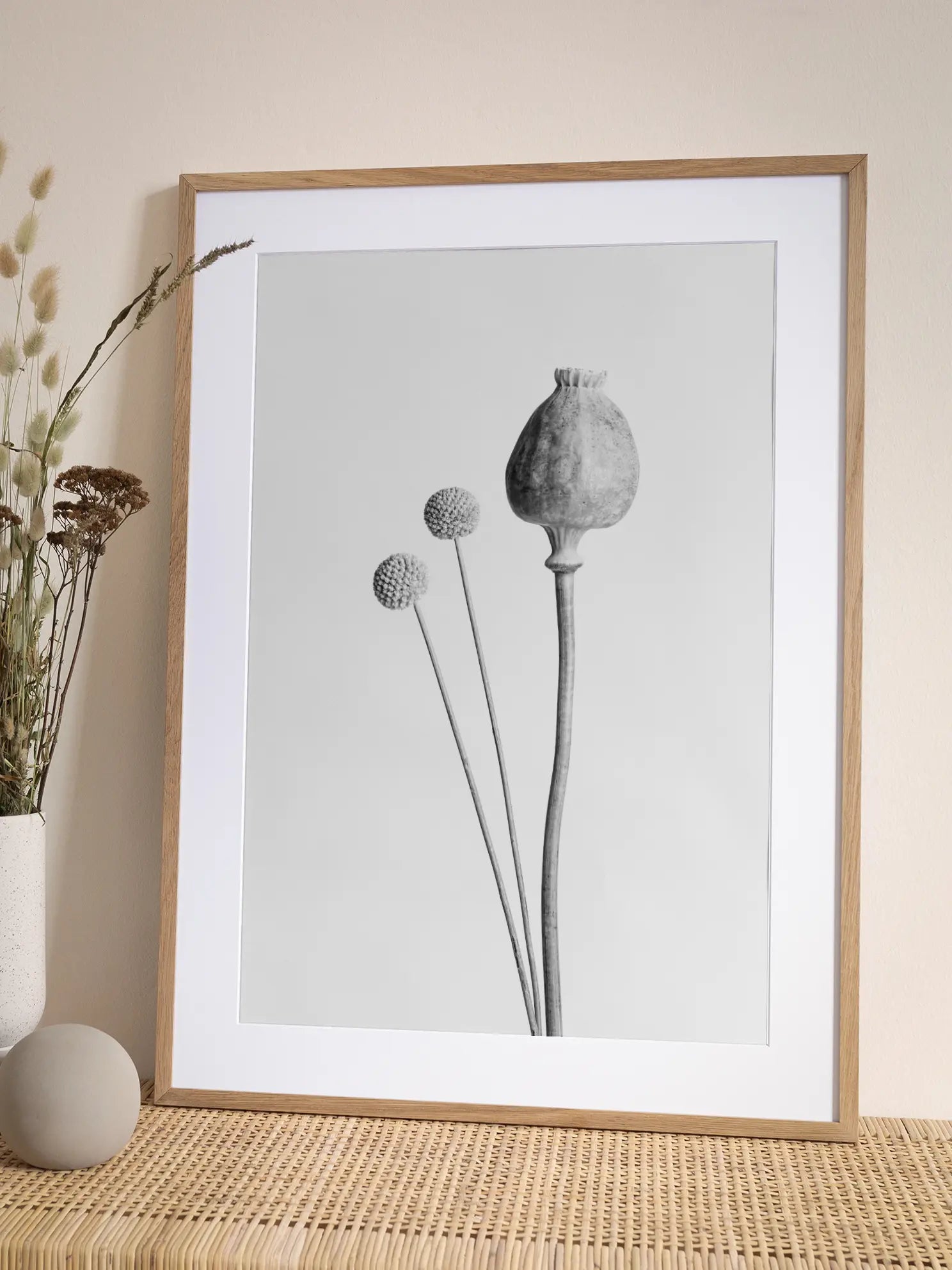 Poppy and Craspedia Poster