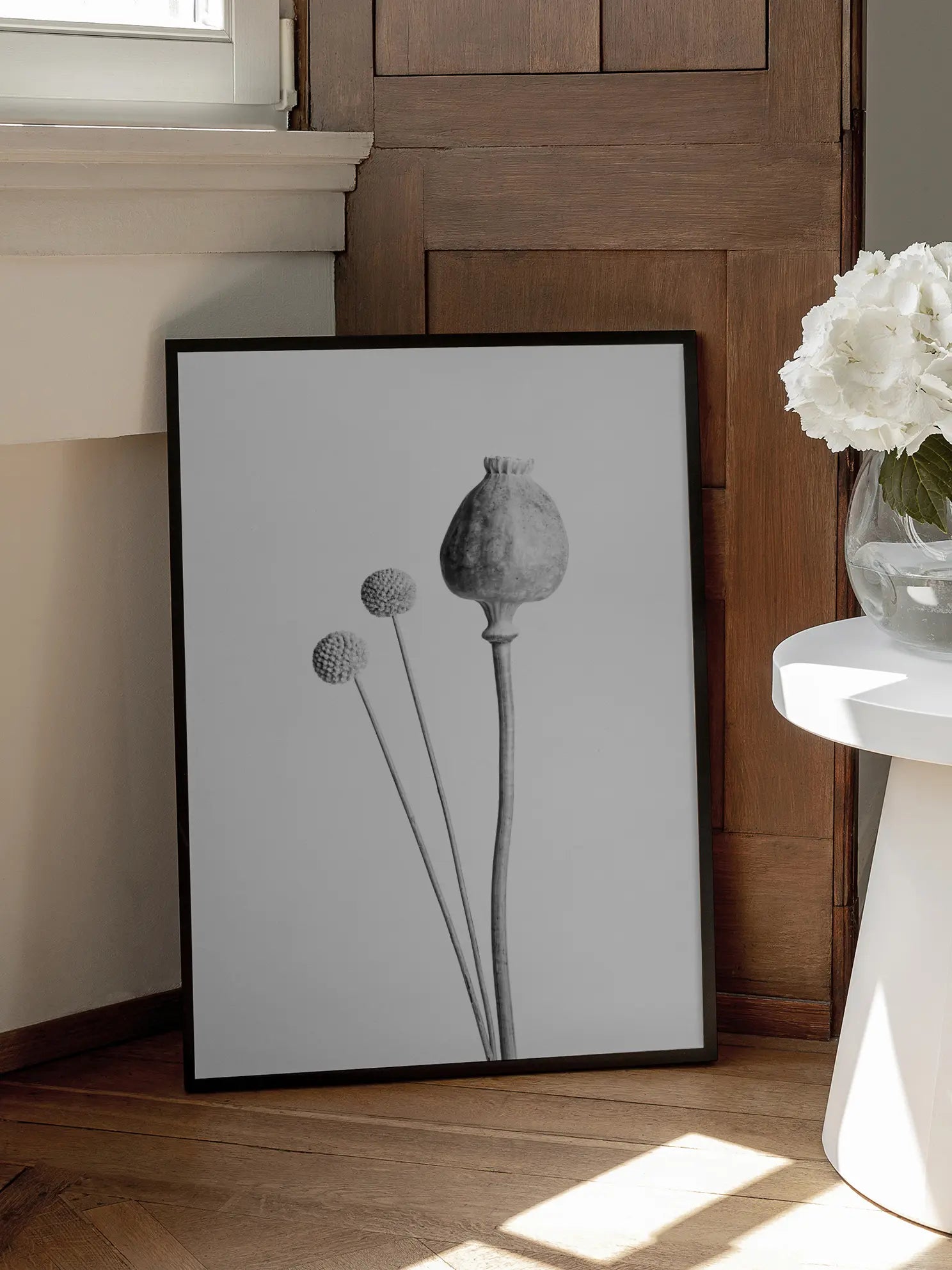 Poppy and Craspedia Poster