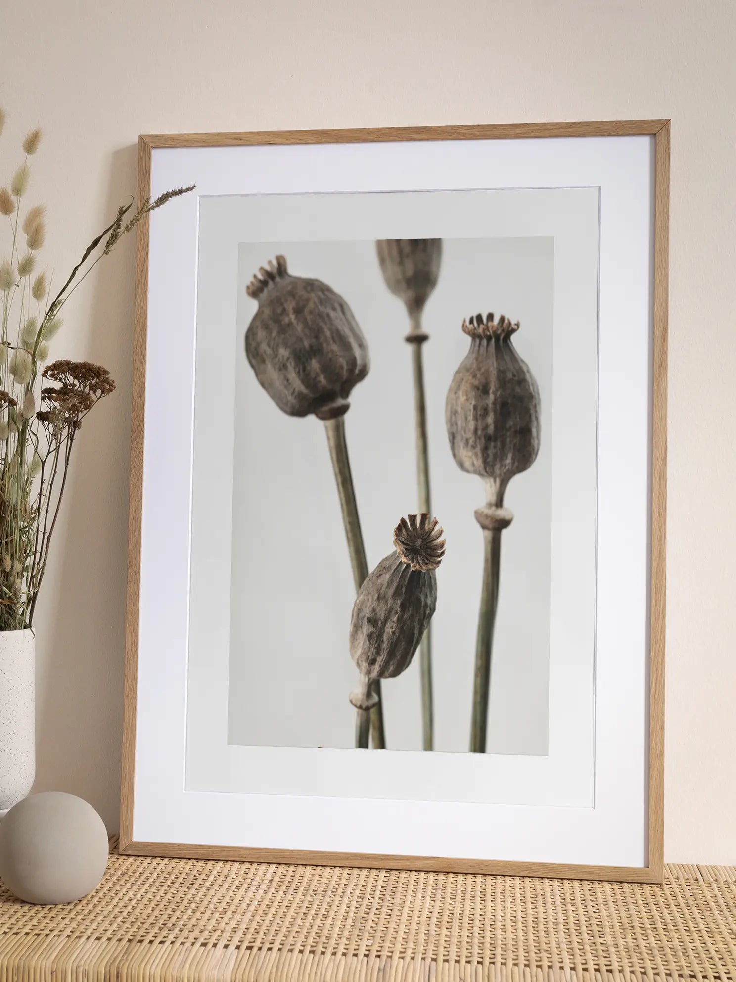 Poppy Seed Pods Poster