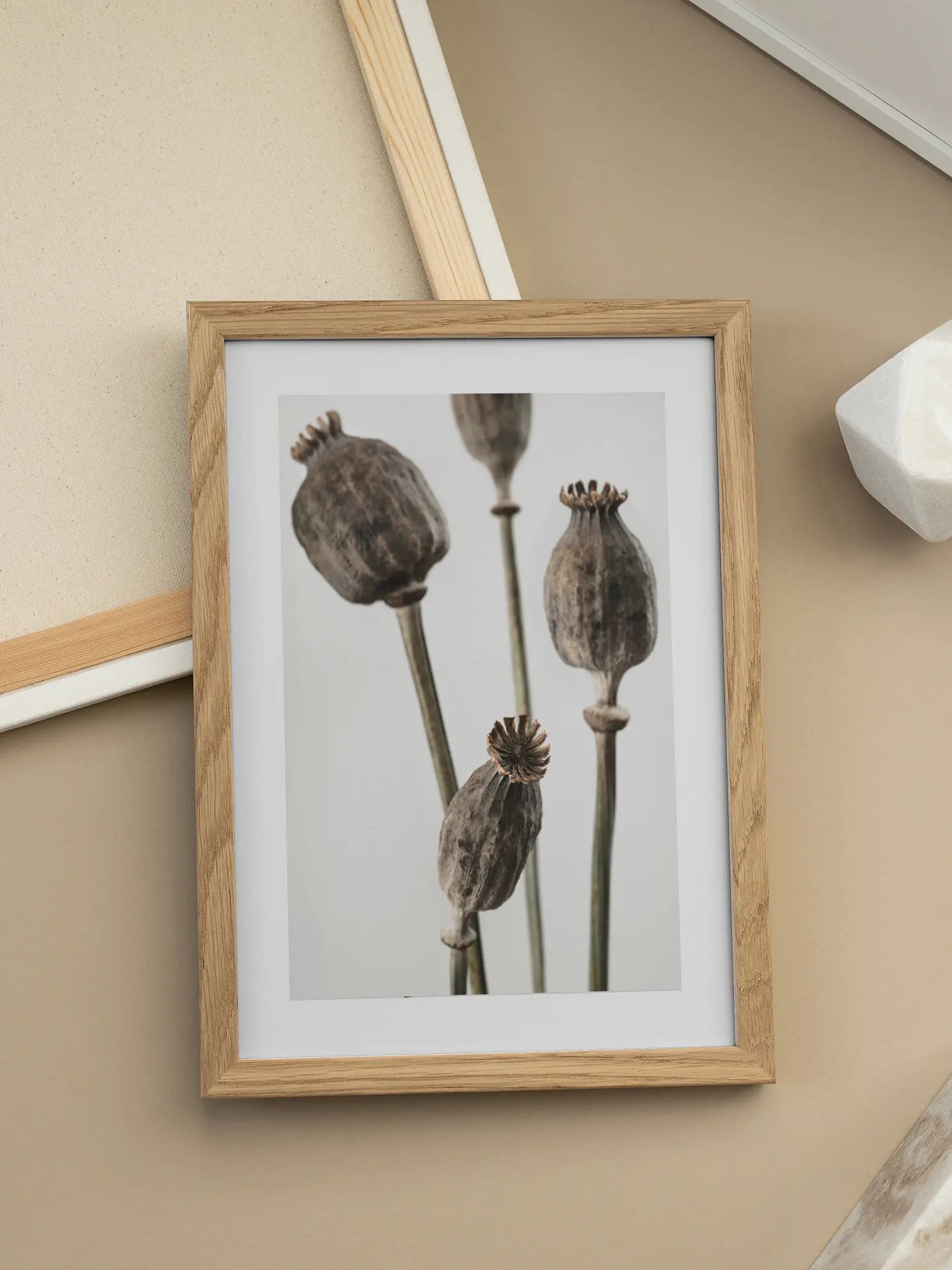 Poppy Seed Pods Poster