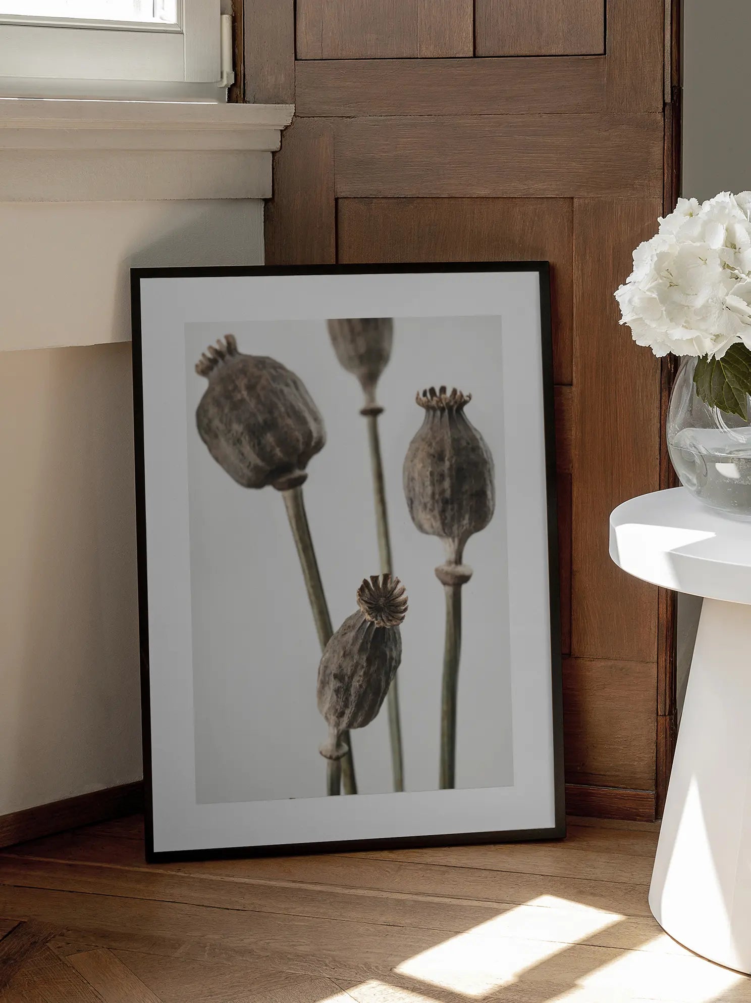 Poppy Seed Pods Poster