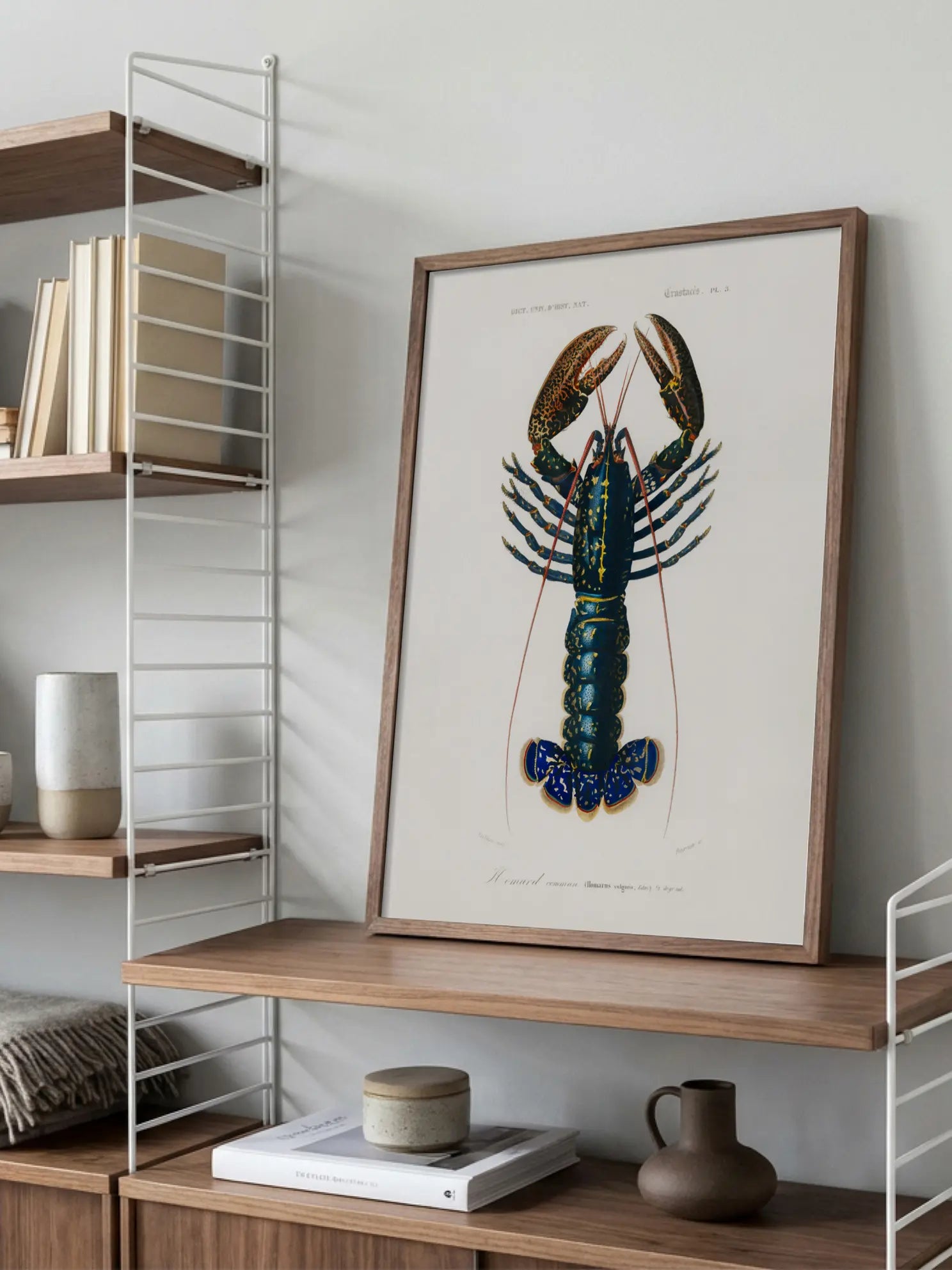 Rare Lobster Poster