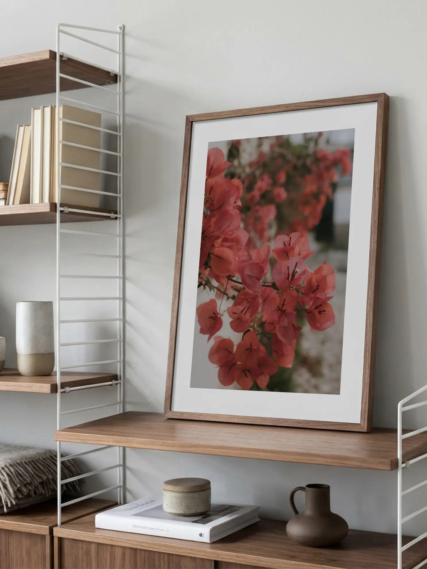 Red Bougainvillea Poster