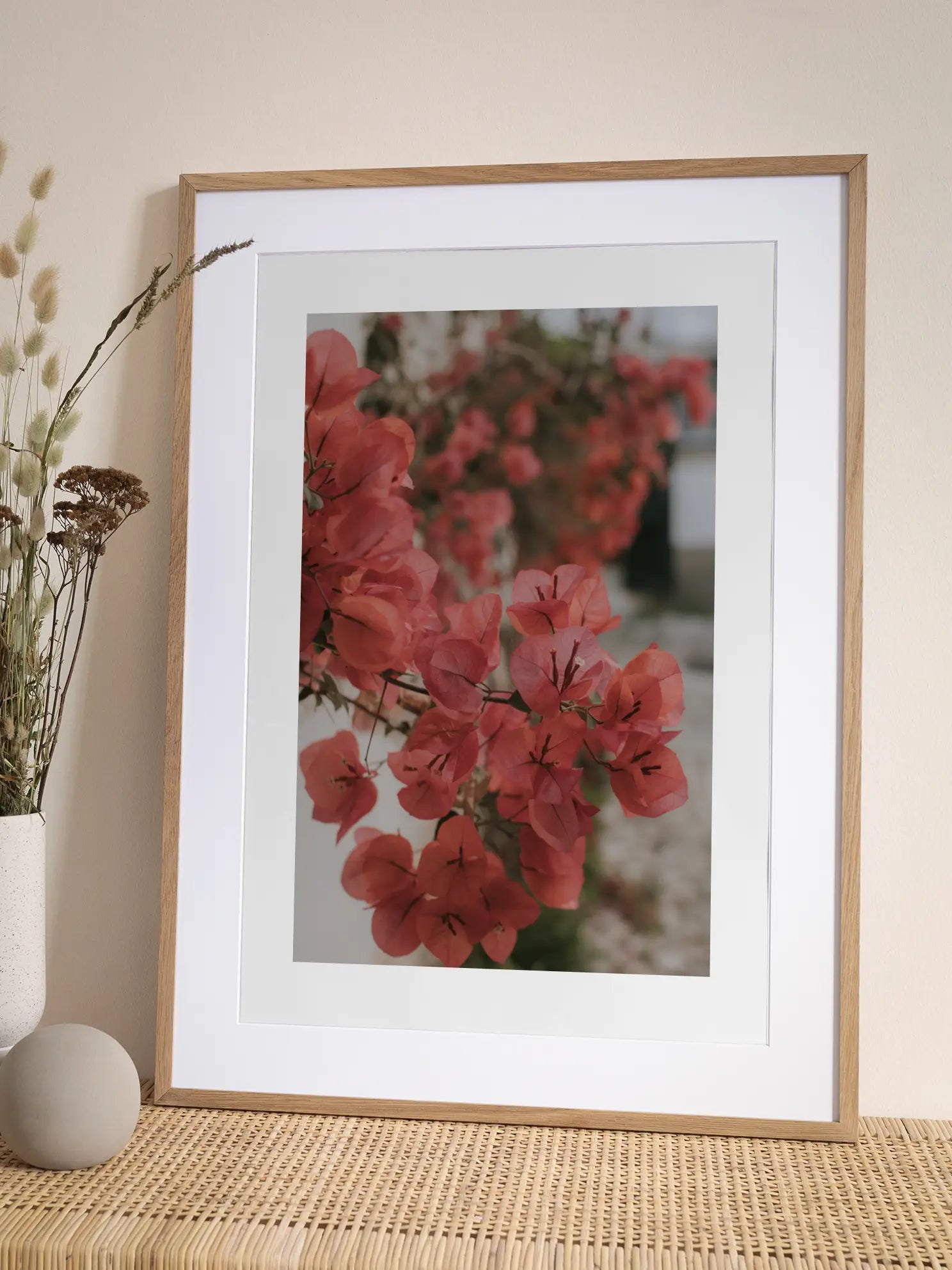 Red Bougainvillea Poster