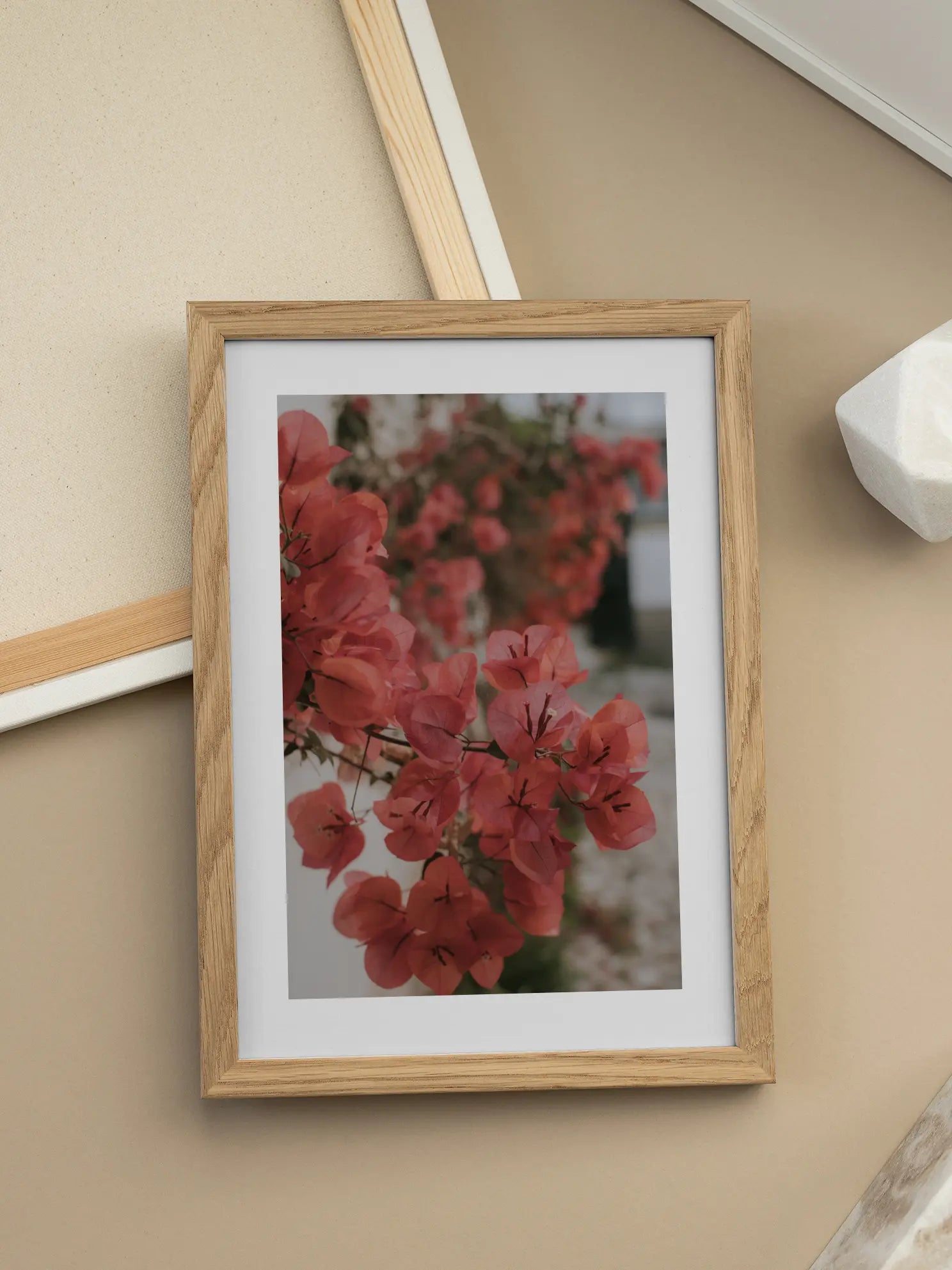 Red Bougainvillea Poster
