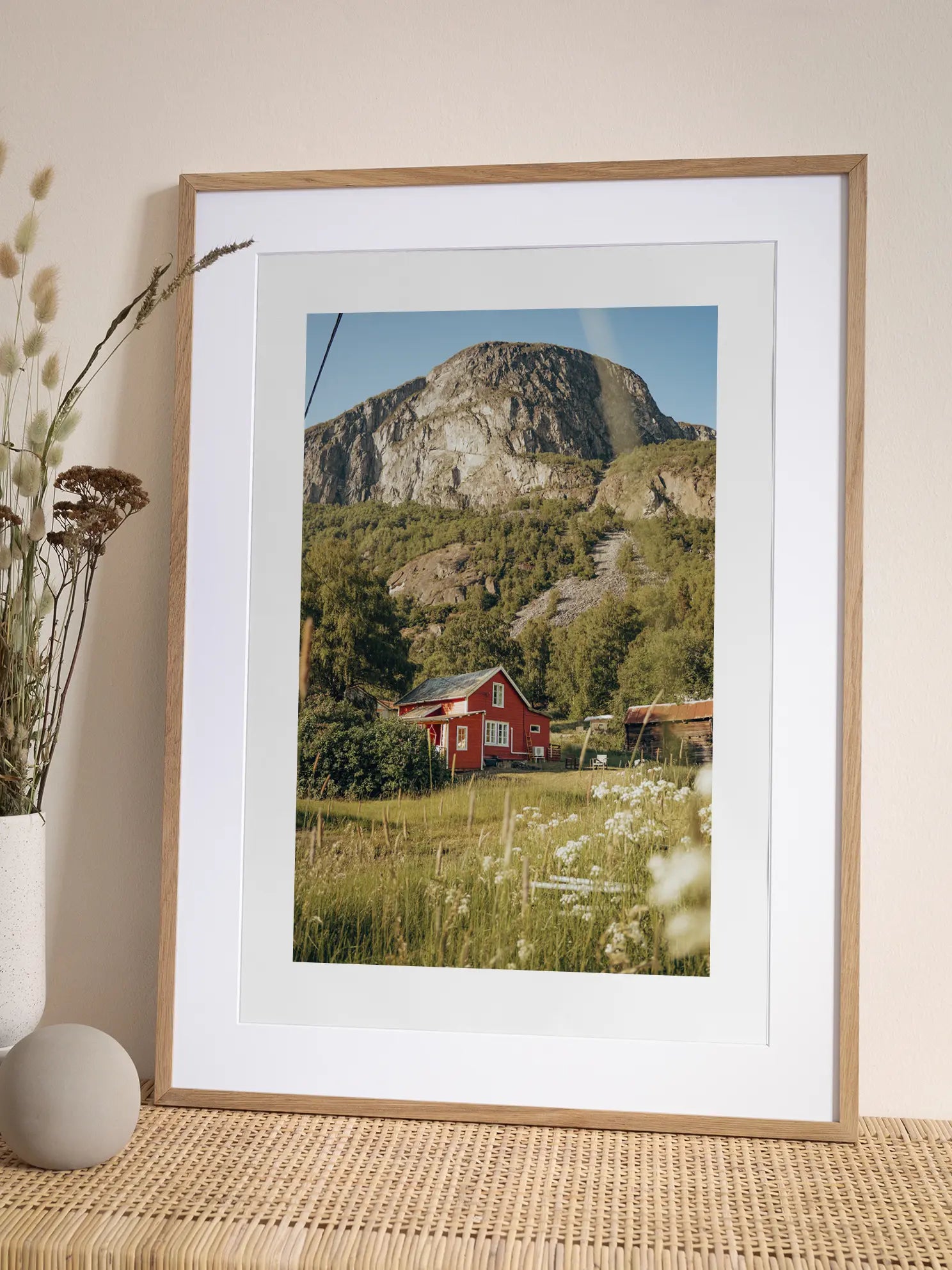 Red House in Nature Poster