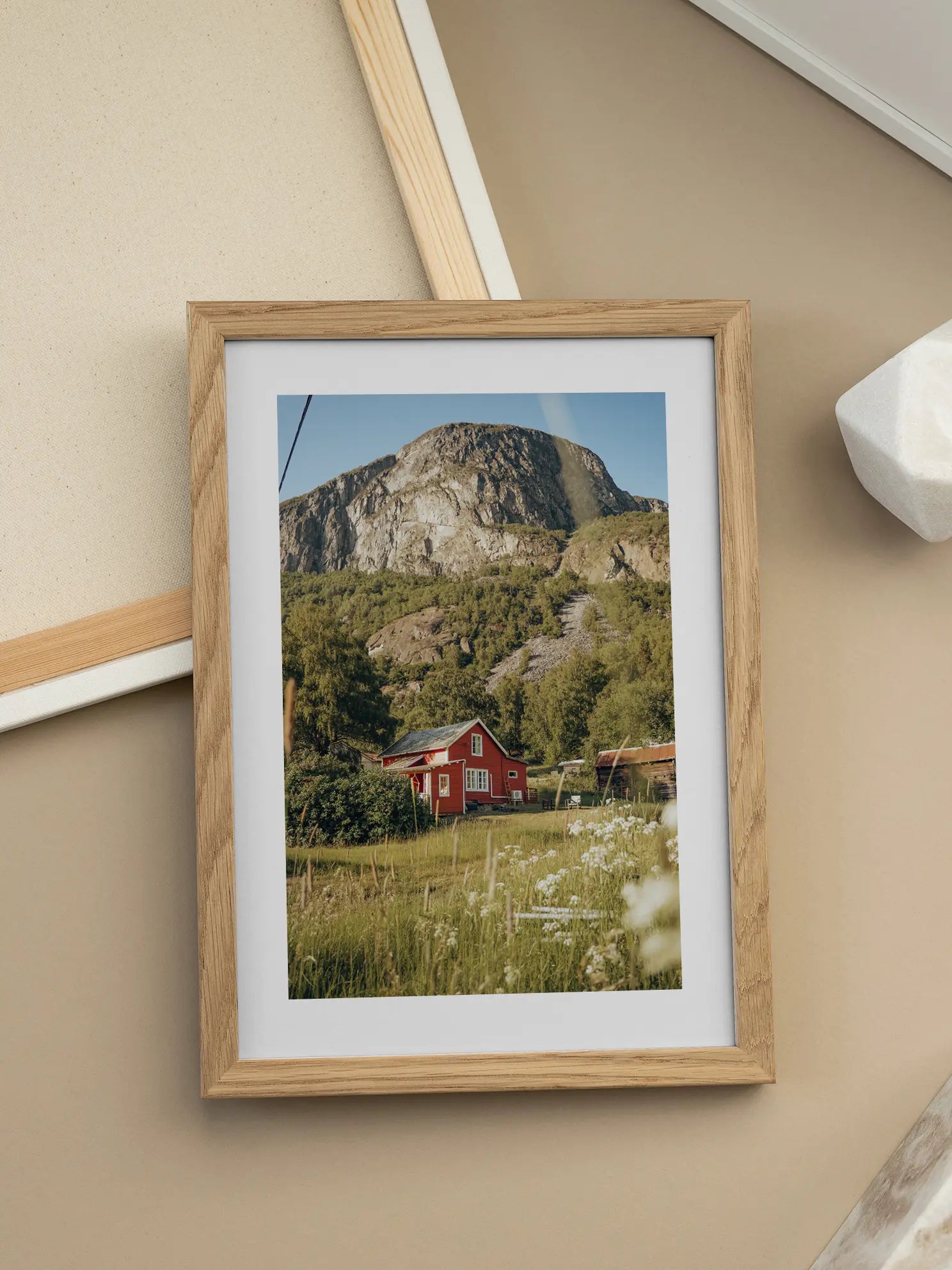 Red House in Nature Poster
