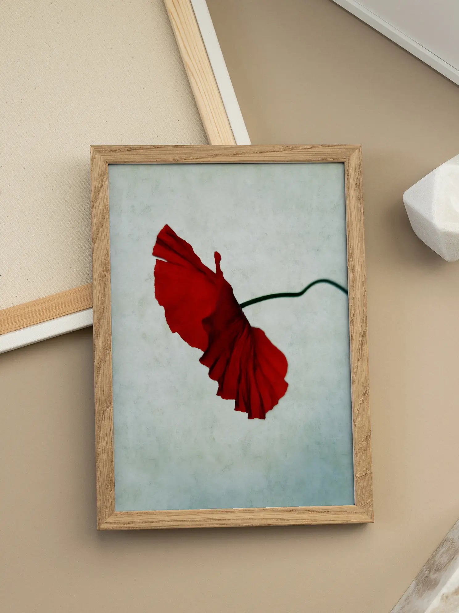 Red Poppy No2 Poster