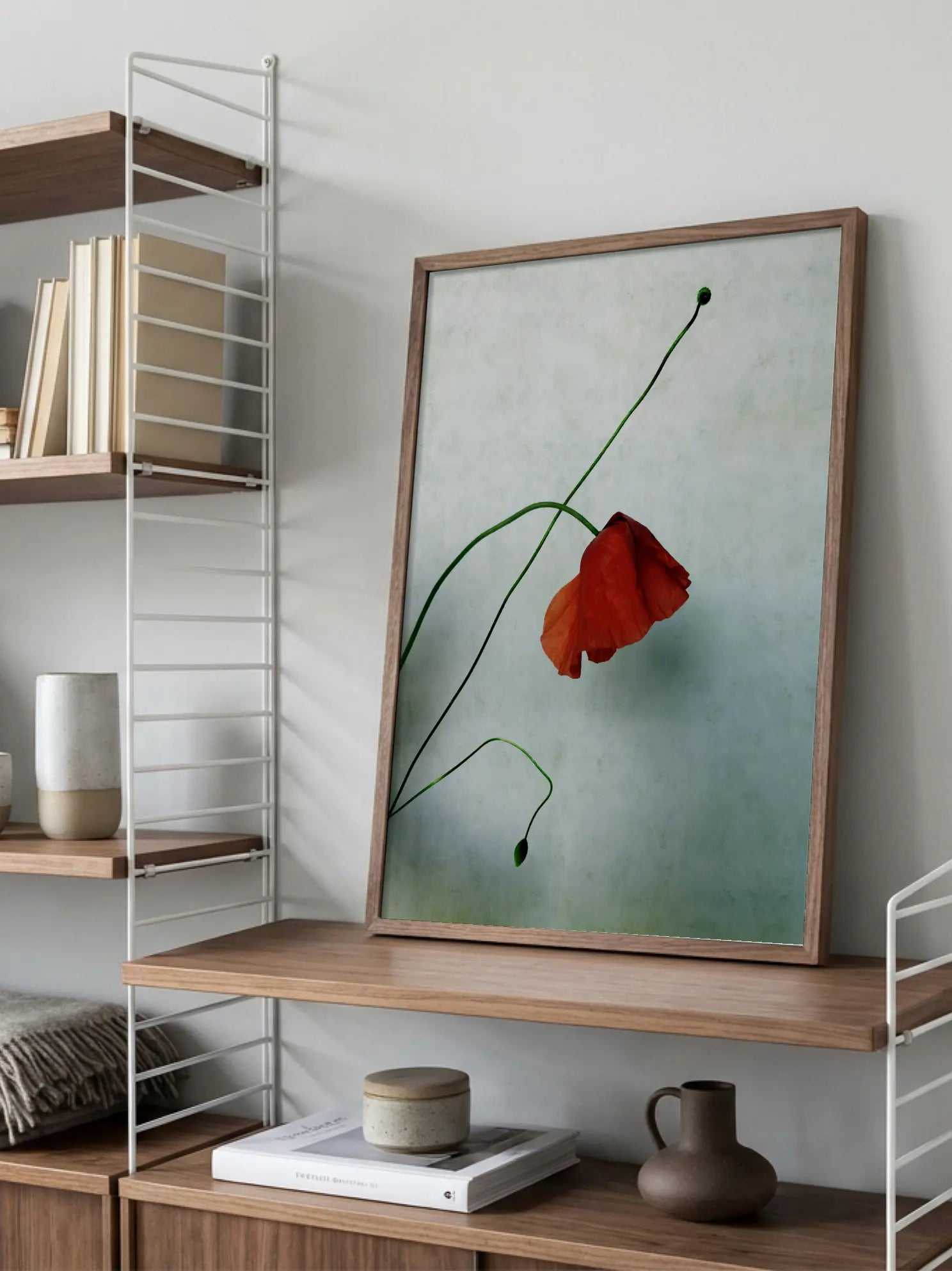 Red Poppy No3 Poster