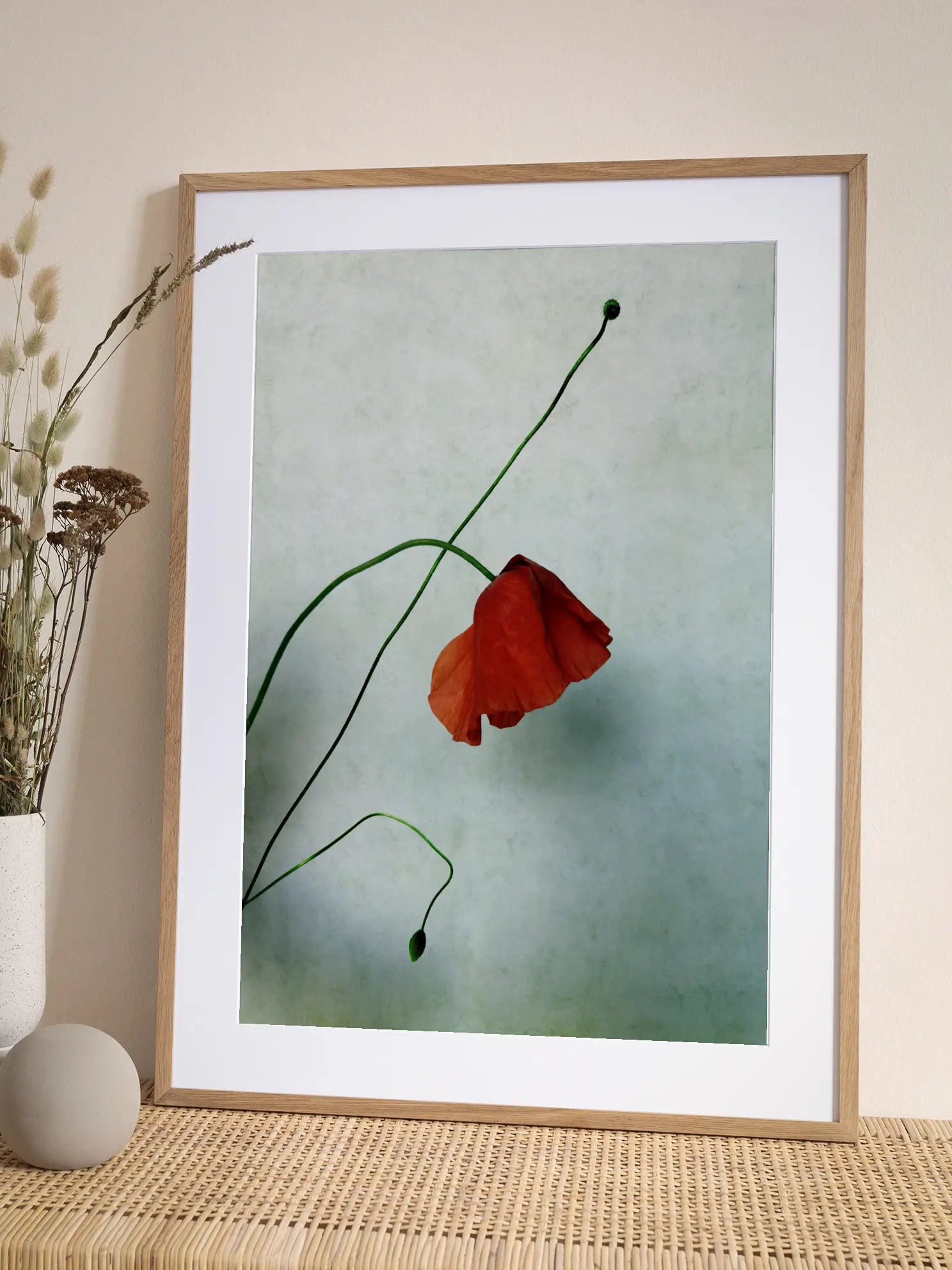 Red Poppy No3 Poster