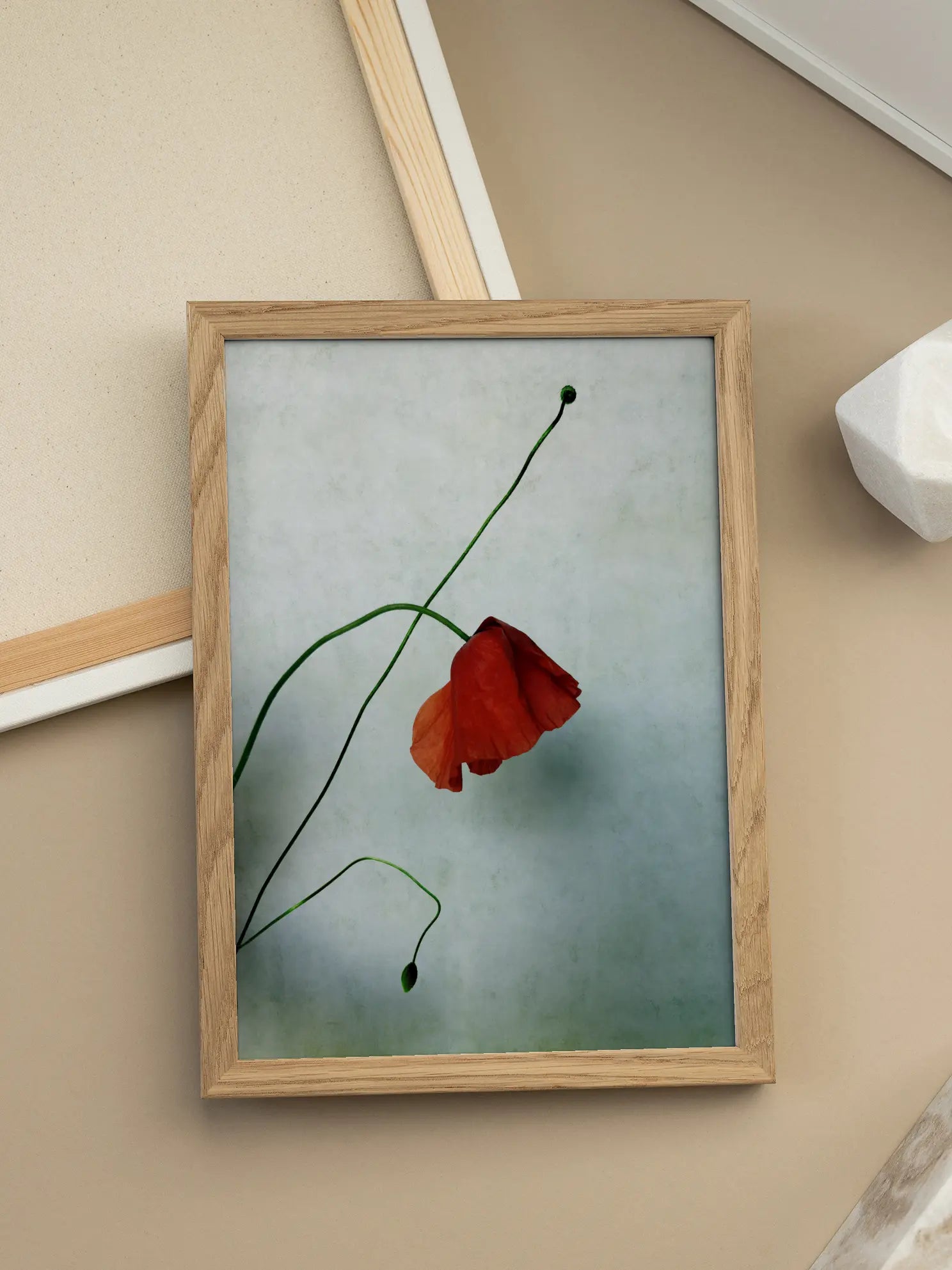 Red Poppy No3 Poster