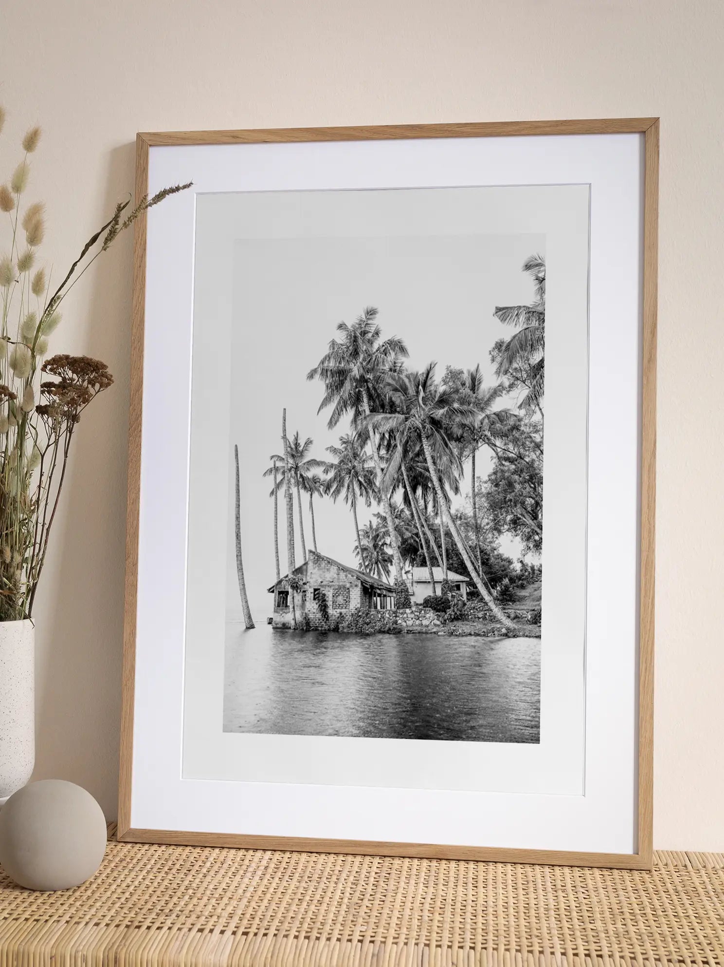 Seychelles House Poster
