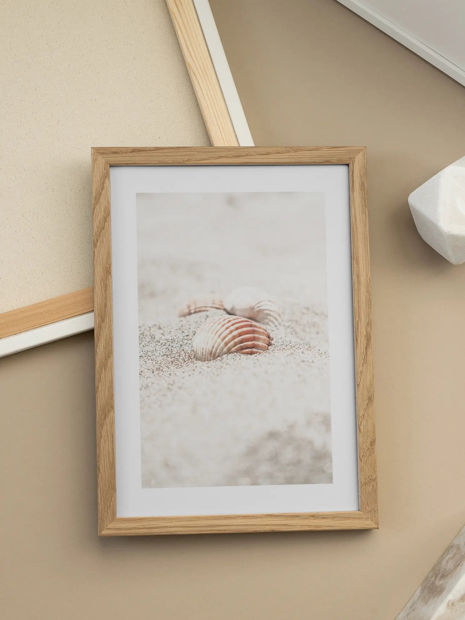 Shells in Sand Poster