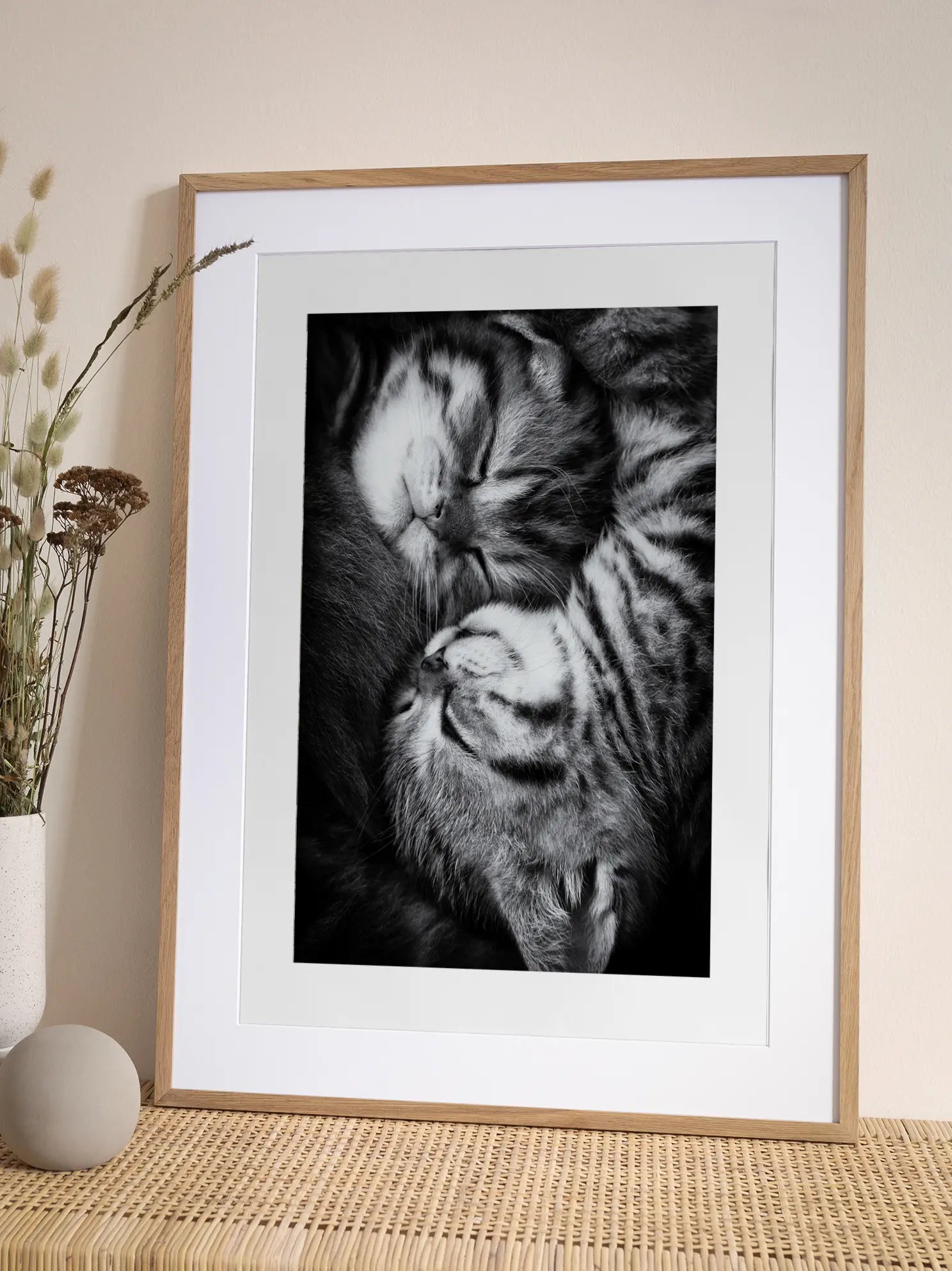 Sleeping Kittens Poster
