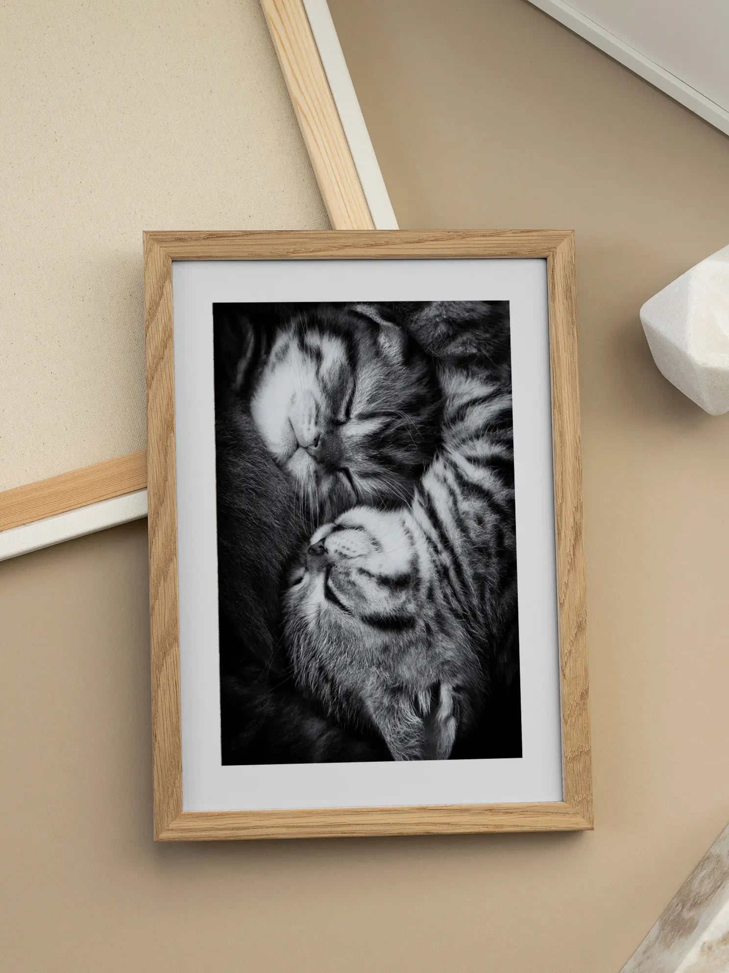 Sleeping Kittens Poster