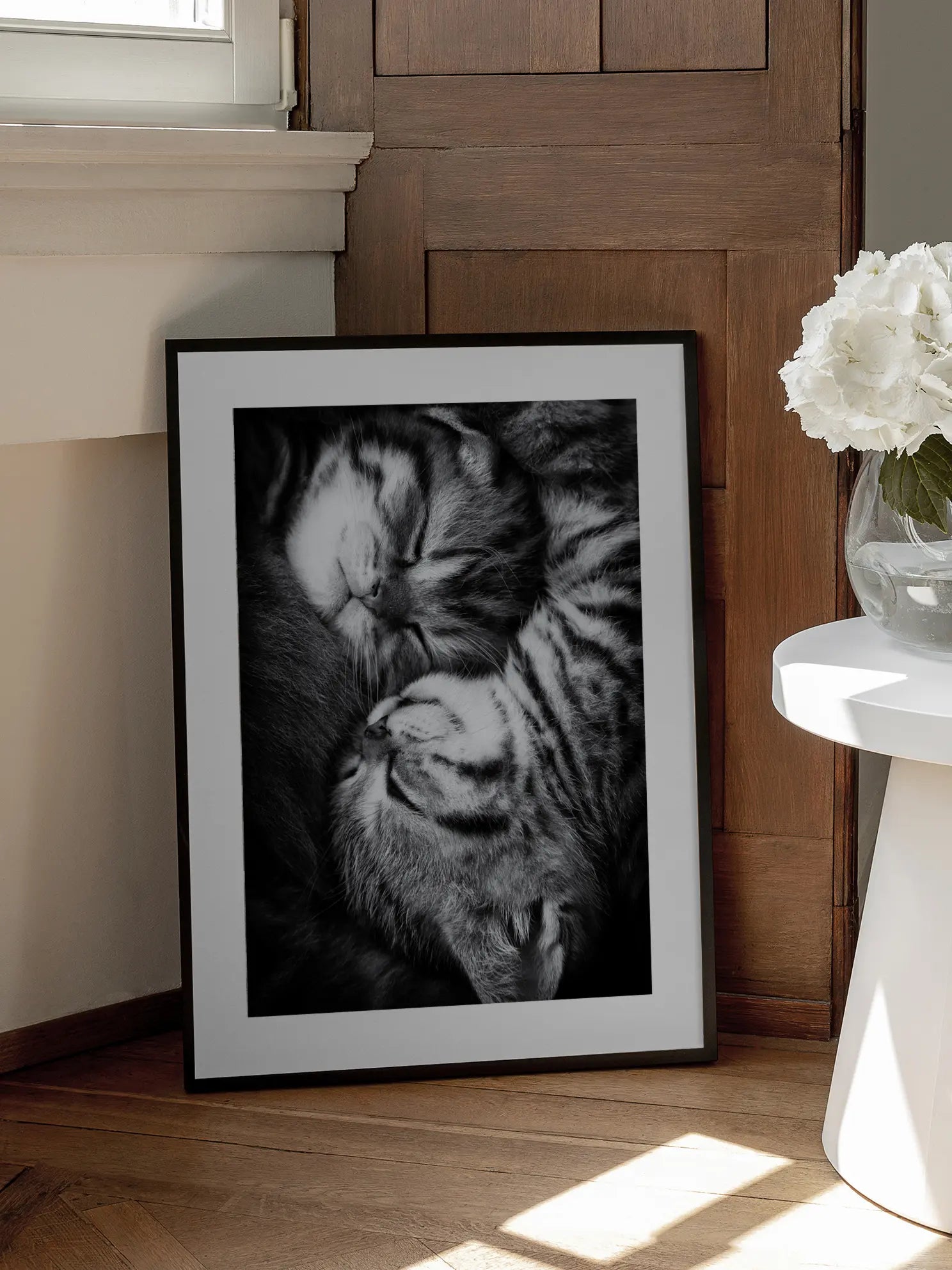 Sleeping Kittens Poster