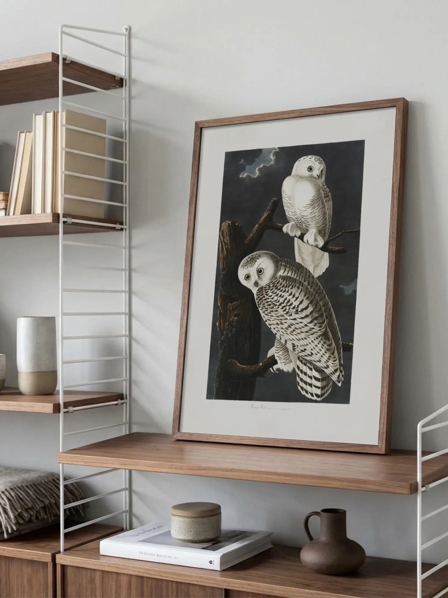Snowy Owl Poster