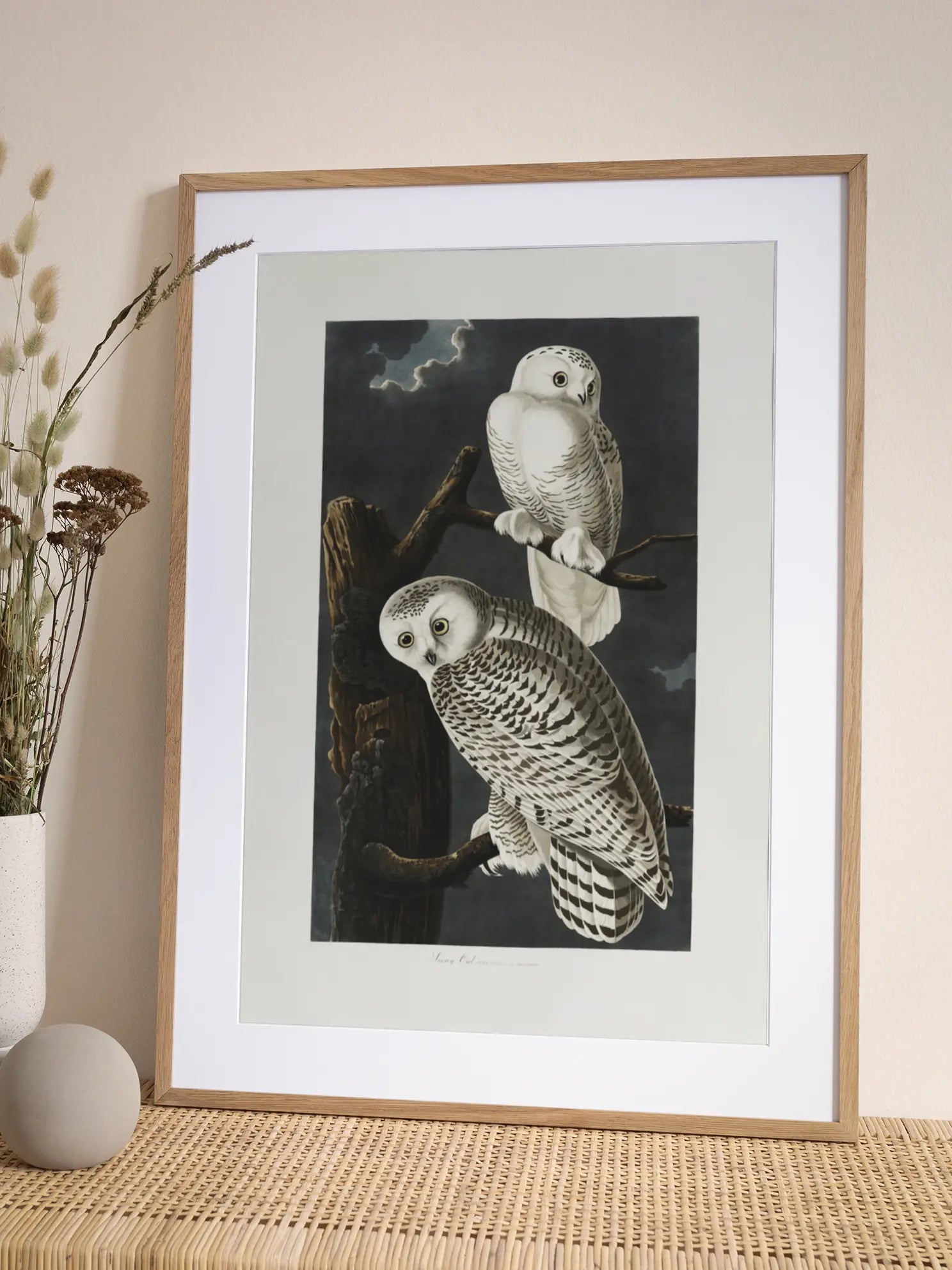 Snowy Owl Poster