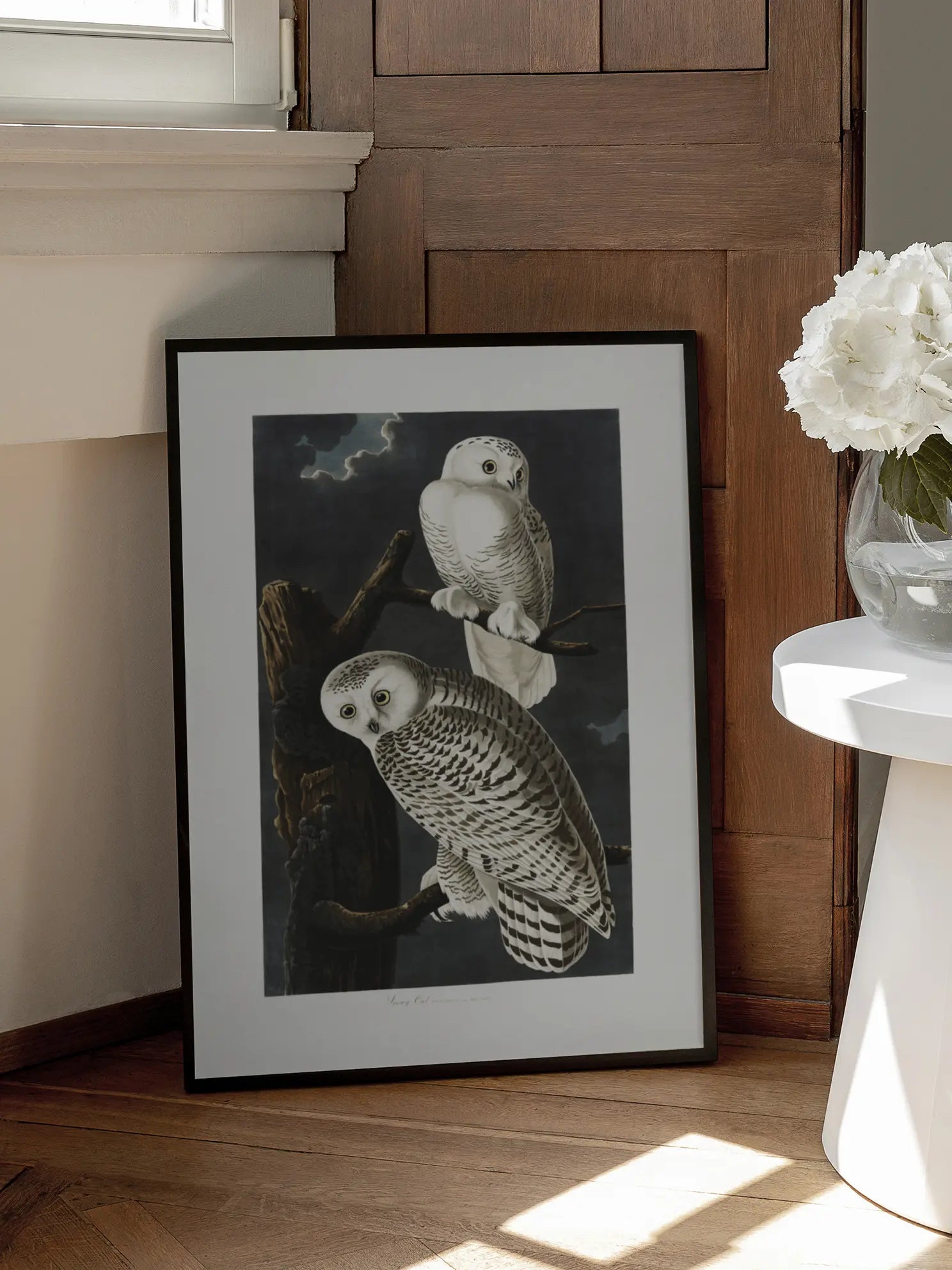 Snowy Owl Poster