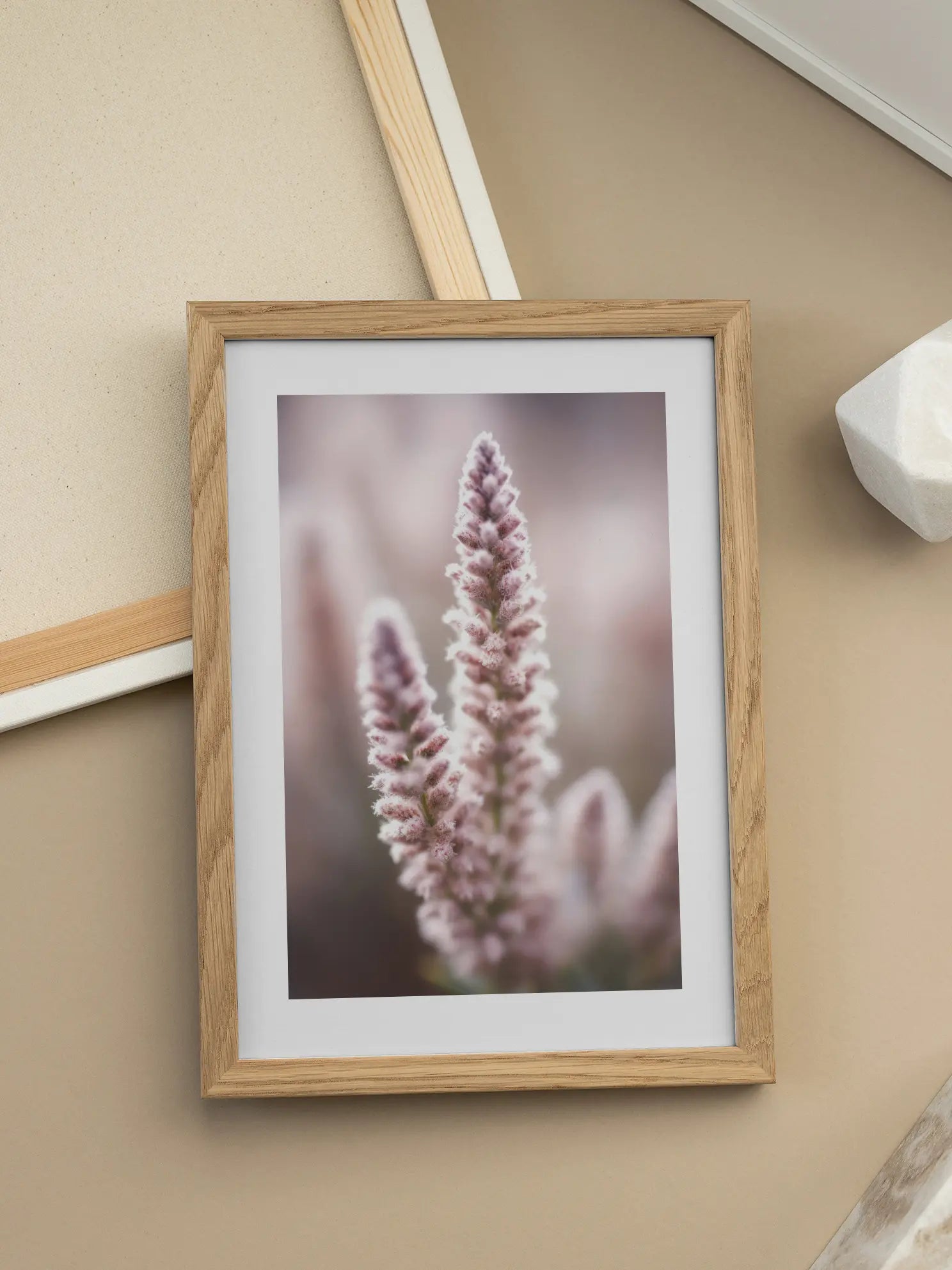 Soft Botanical Poster