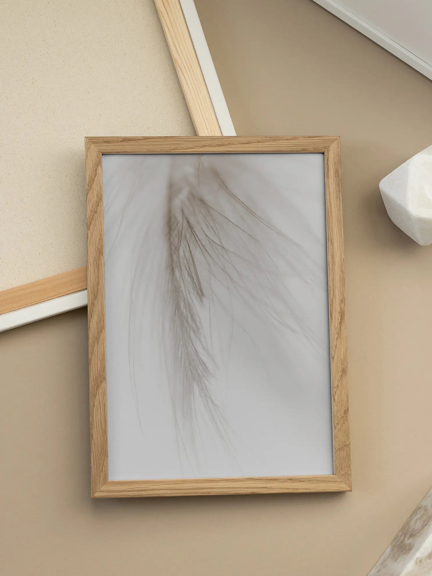 Soft Feather Poster