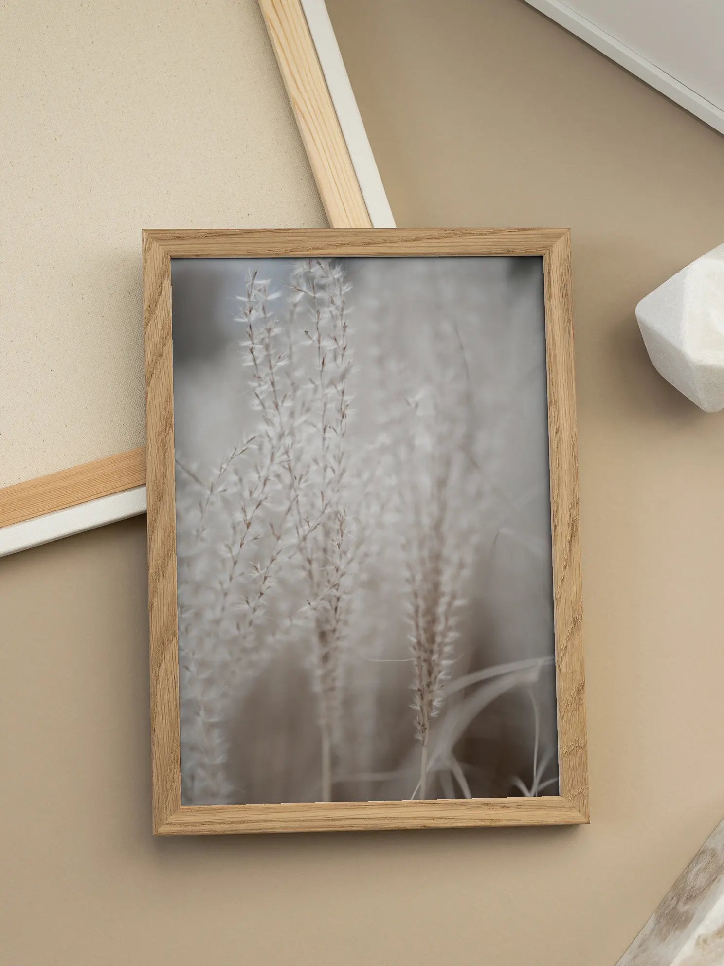 Soft Pampas Grass Poster