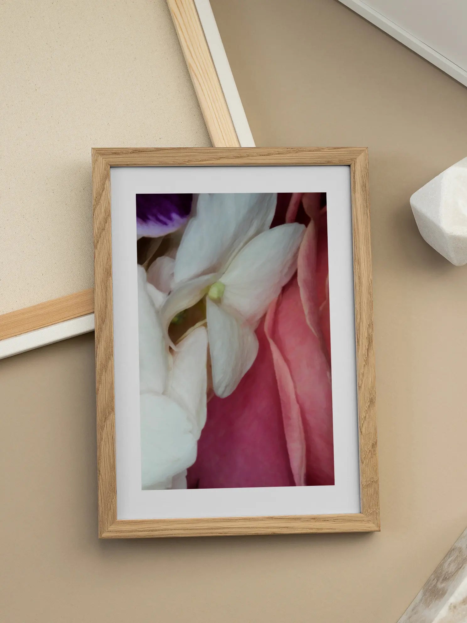 Soft Petals Poster
