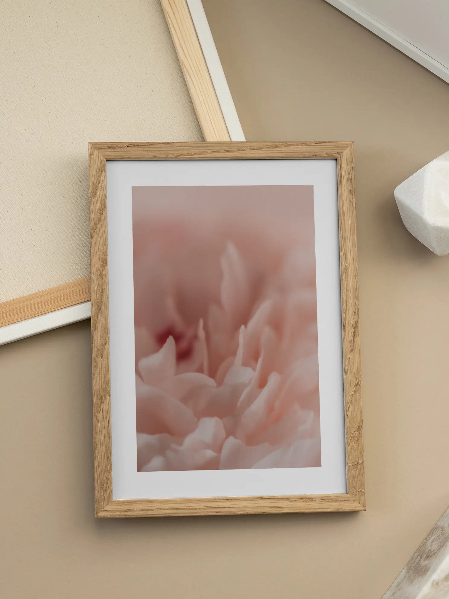 Soft Pink Flower Poster