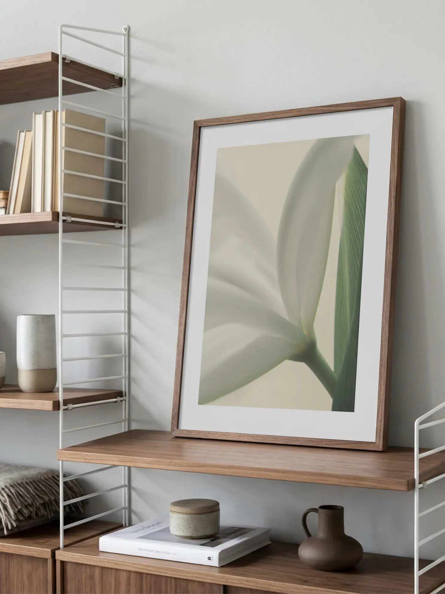 Soft Tulip Poster