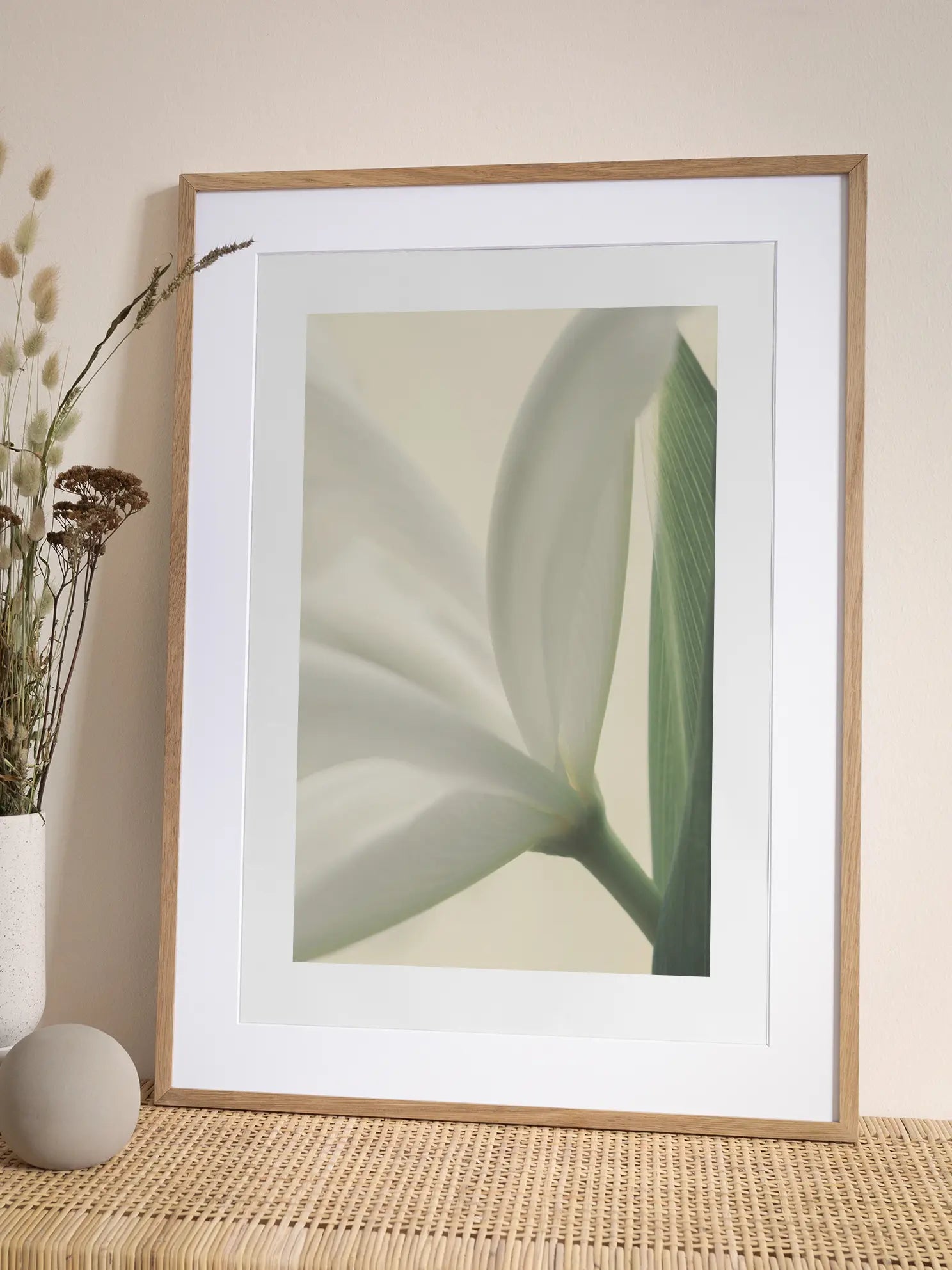 Soft Tulip Poster