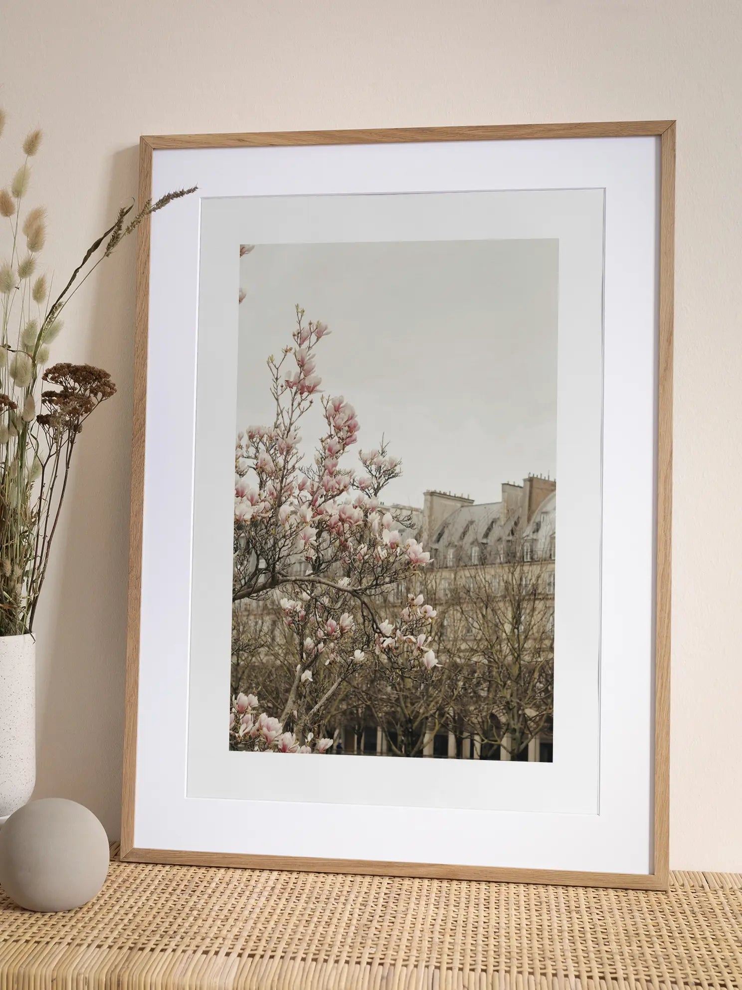 Spring Blossoms in Paris Poster