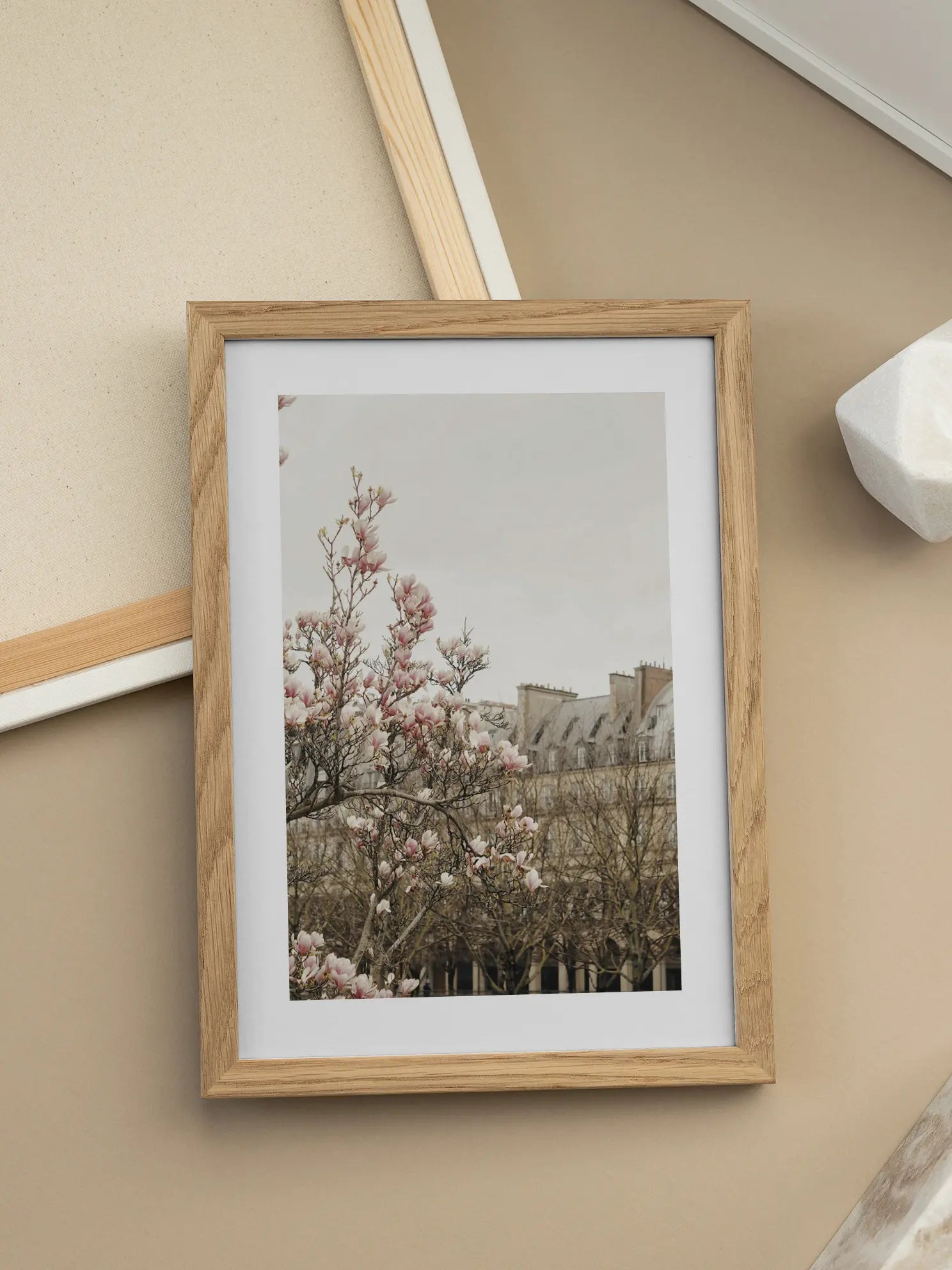 Spring Blossoms in Paris Poster