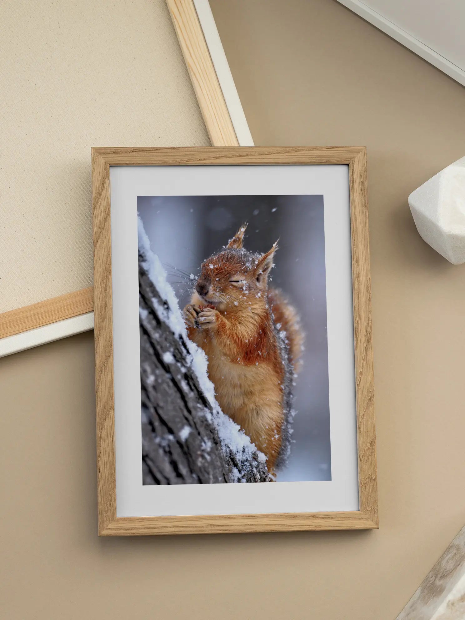 Squirrel Shivers Poster