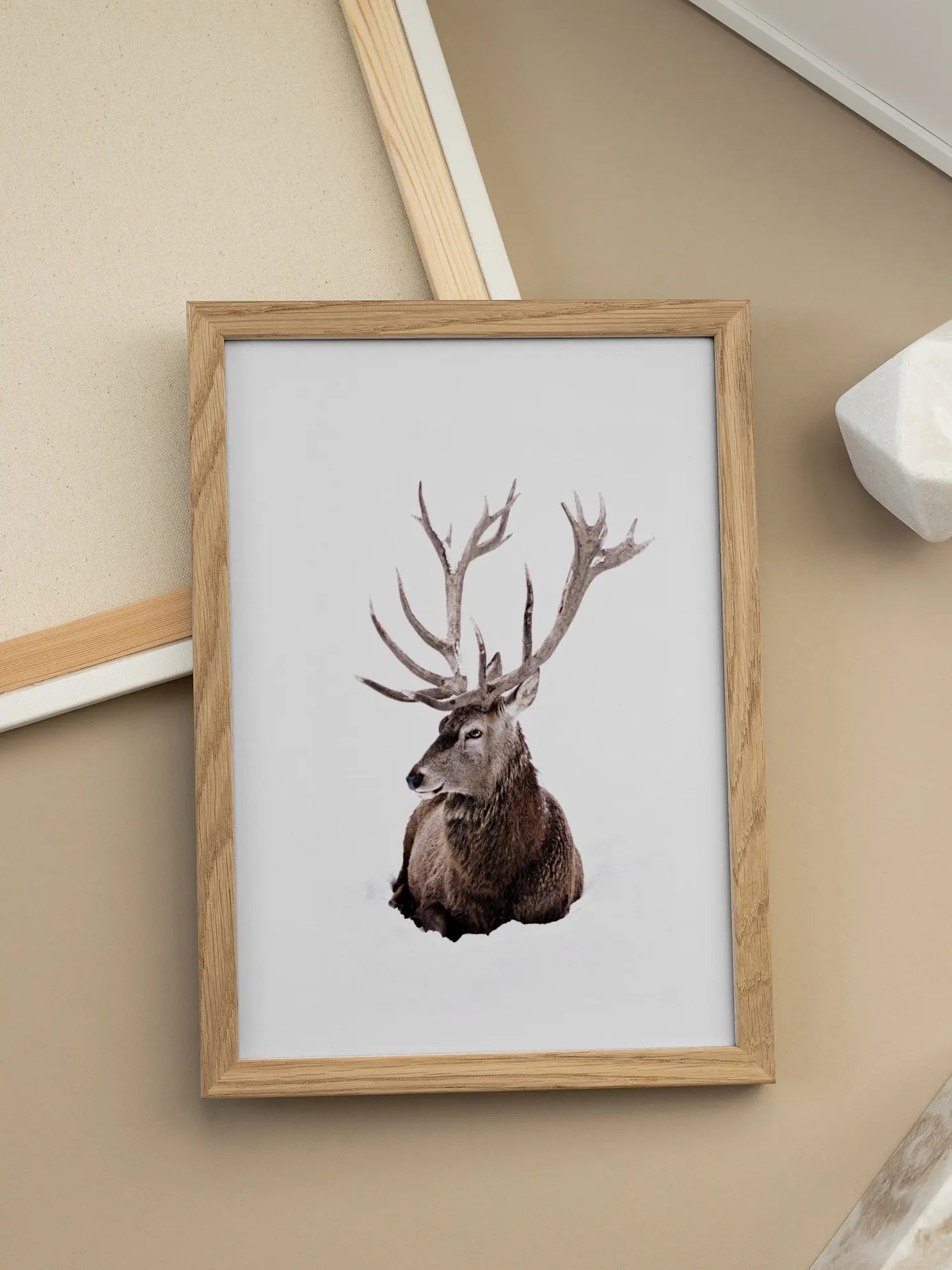 Stag In Snow Poster