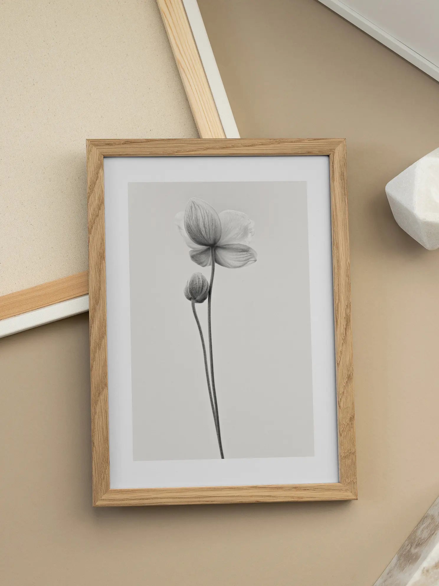 Still Life Flower Poster