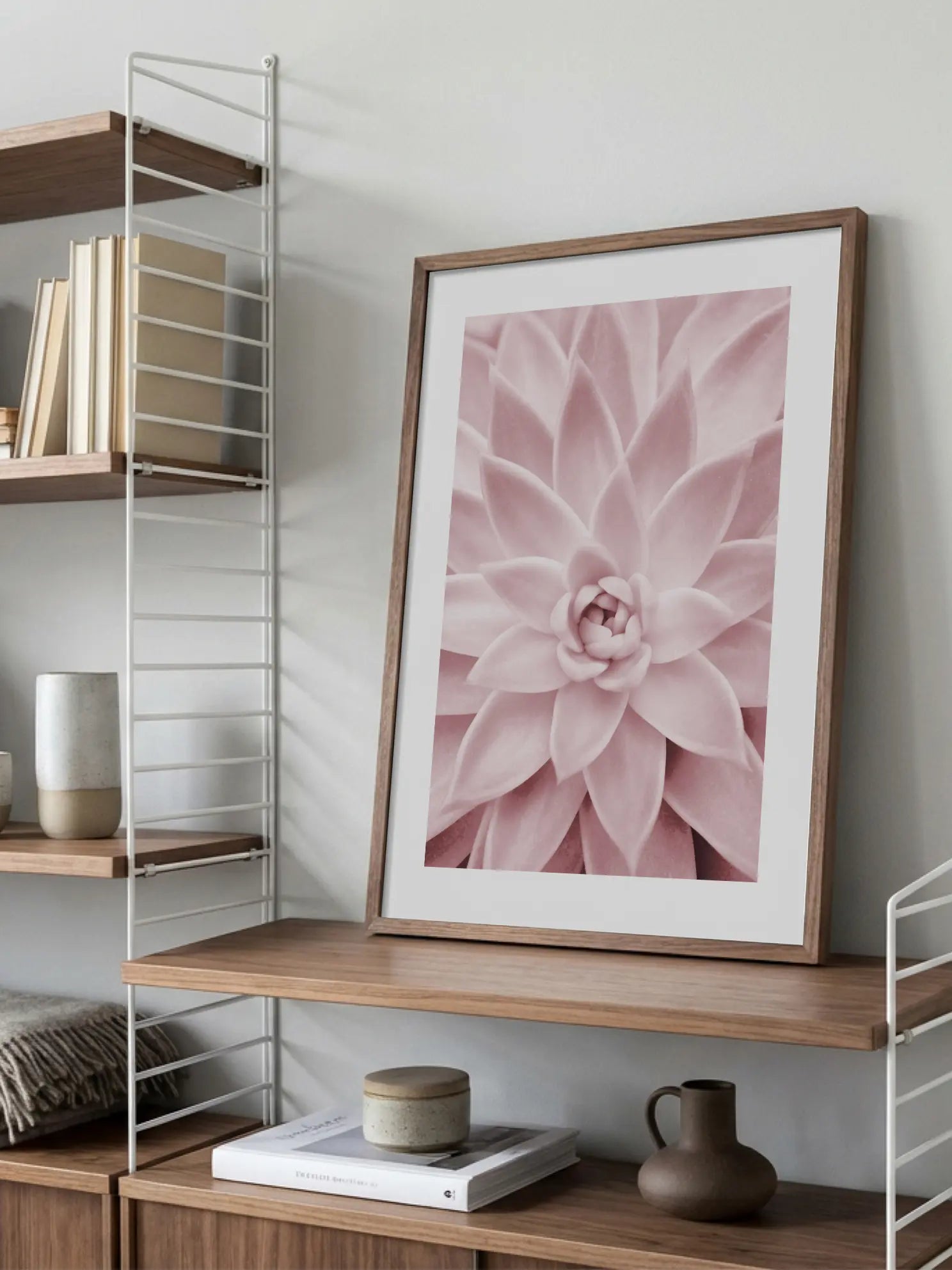 Succulent Symmetry Poster