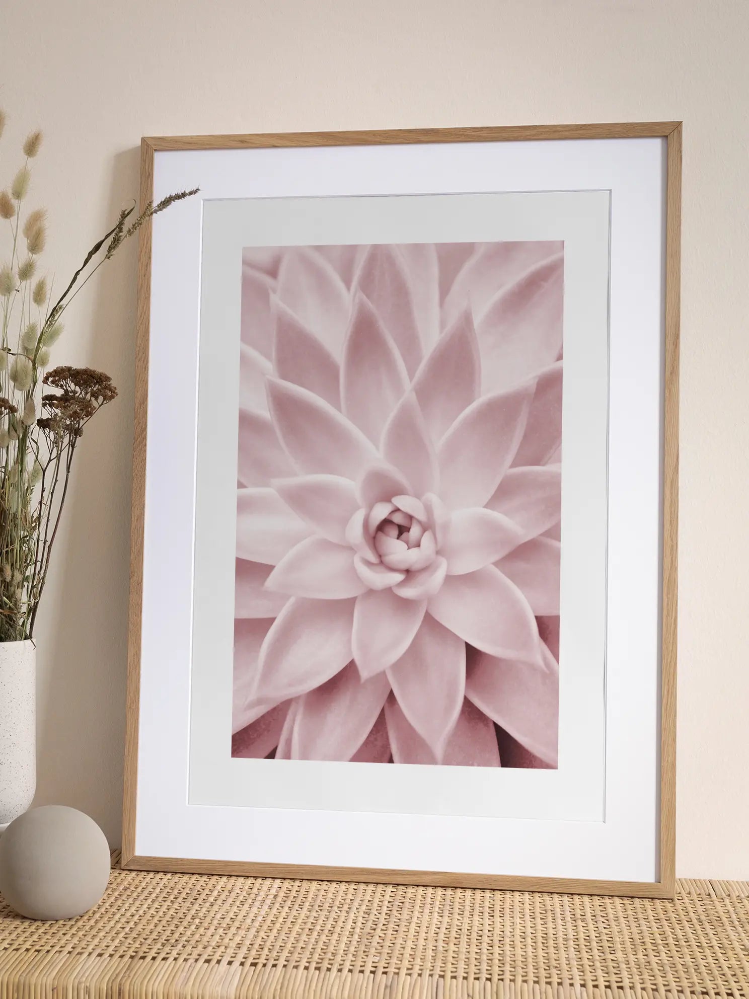 Succulent Symmetry Poster