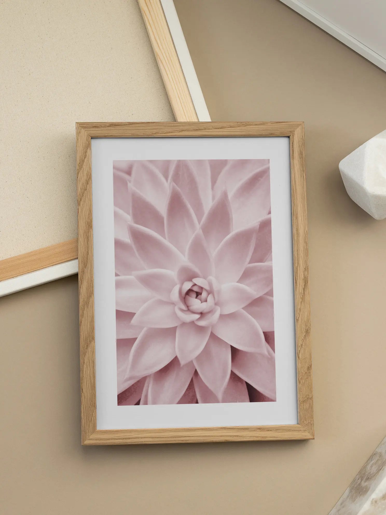 Succulent Symmetry Poster