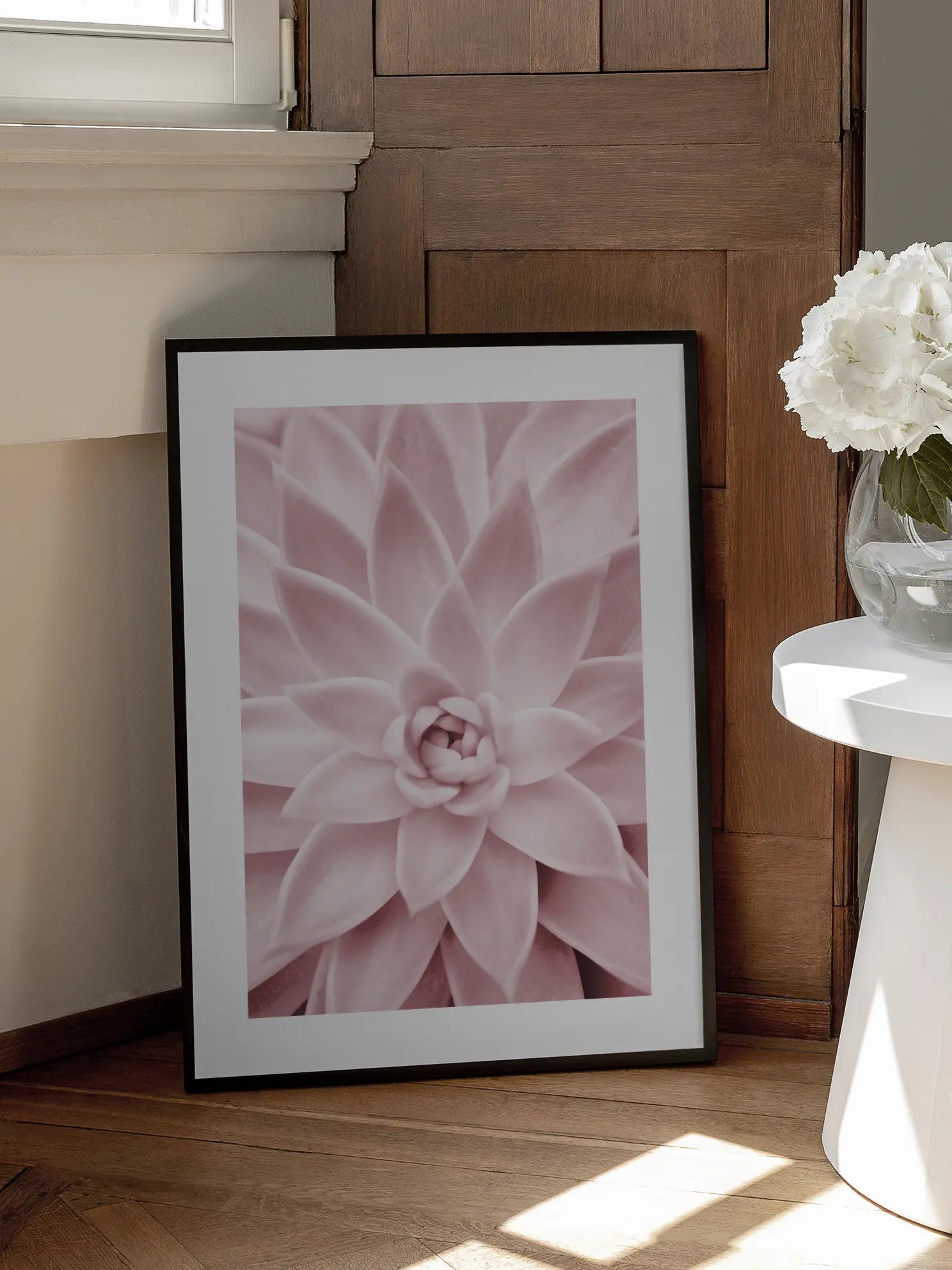 Succulent Symmetry Poster