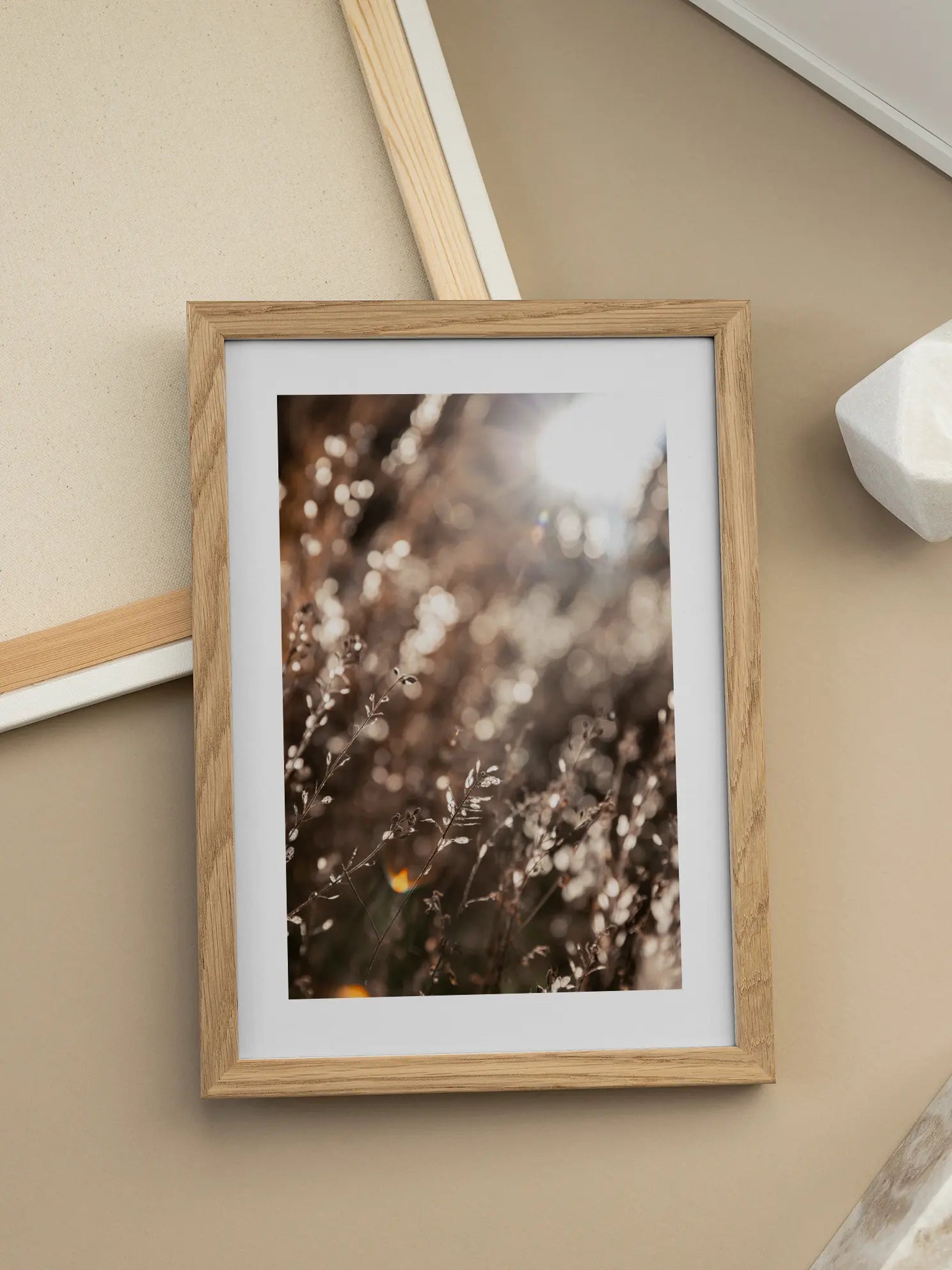 Sunlit Meadow Poster