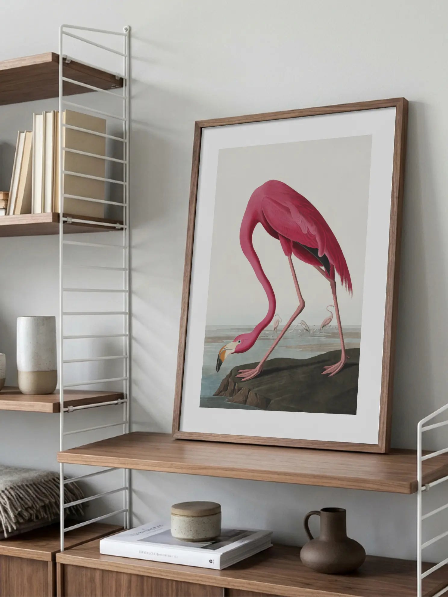 The American Flamingo Poster