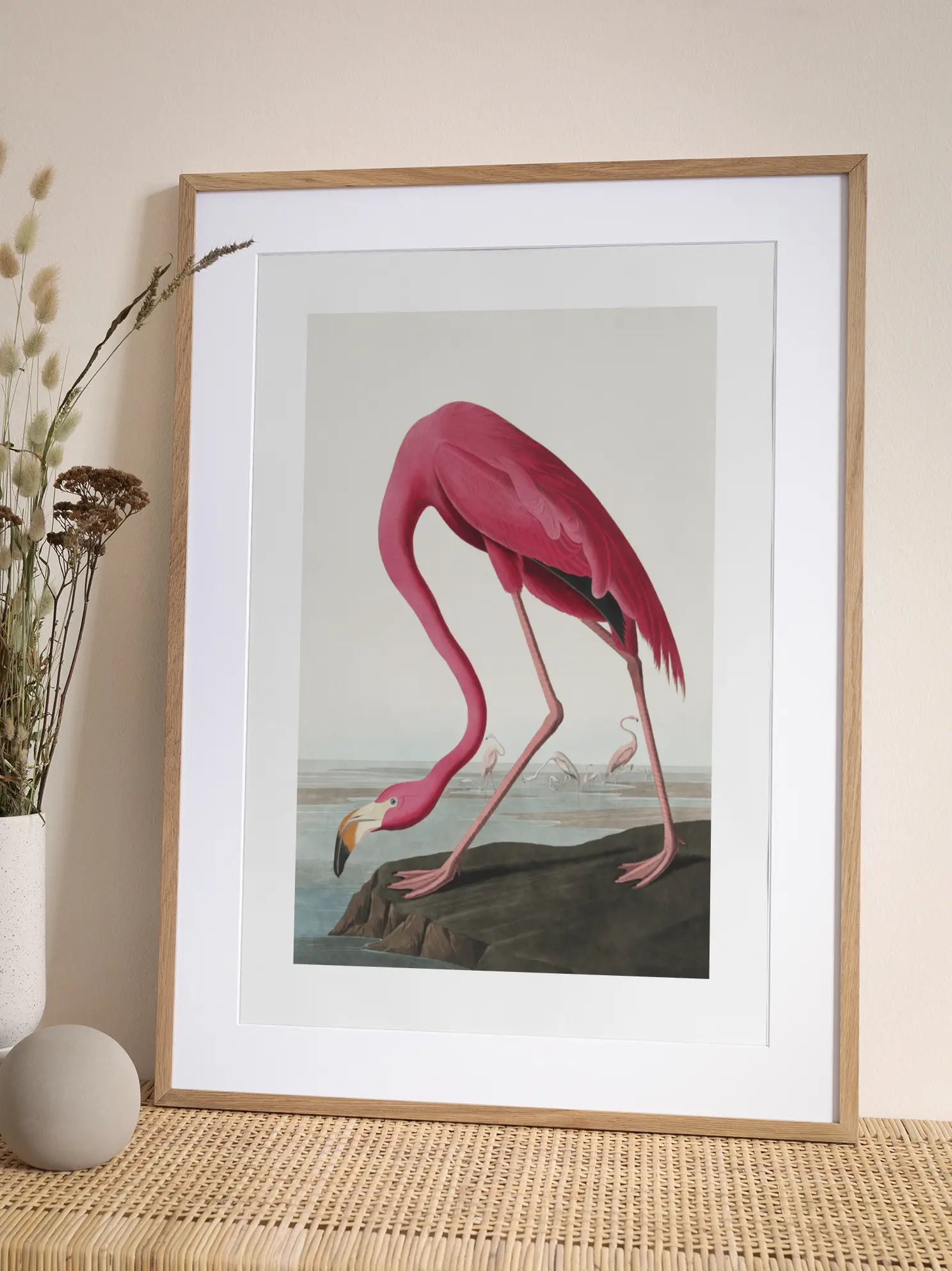 The American Flamingo Poster