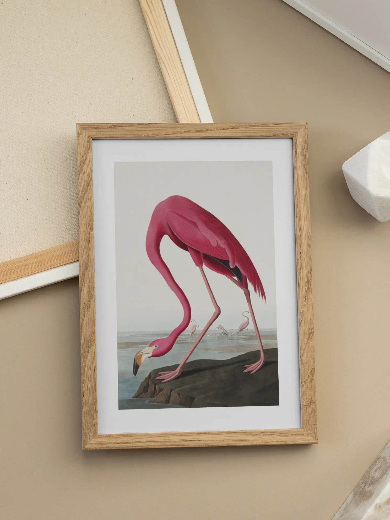 The American Flamingo Poster
