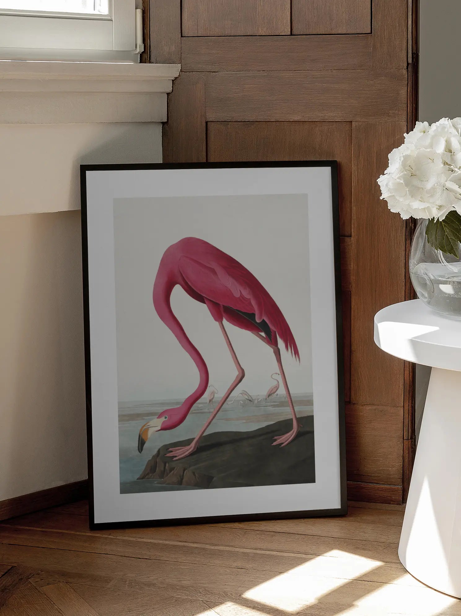The American Flamingo Poster