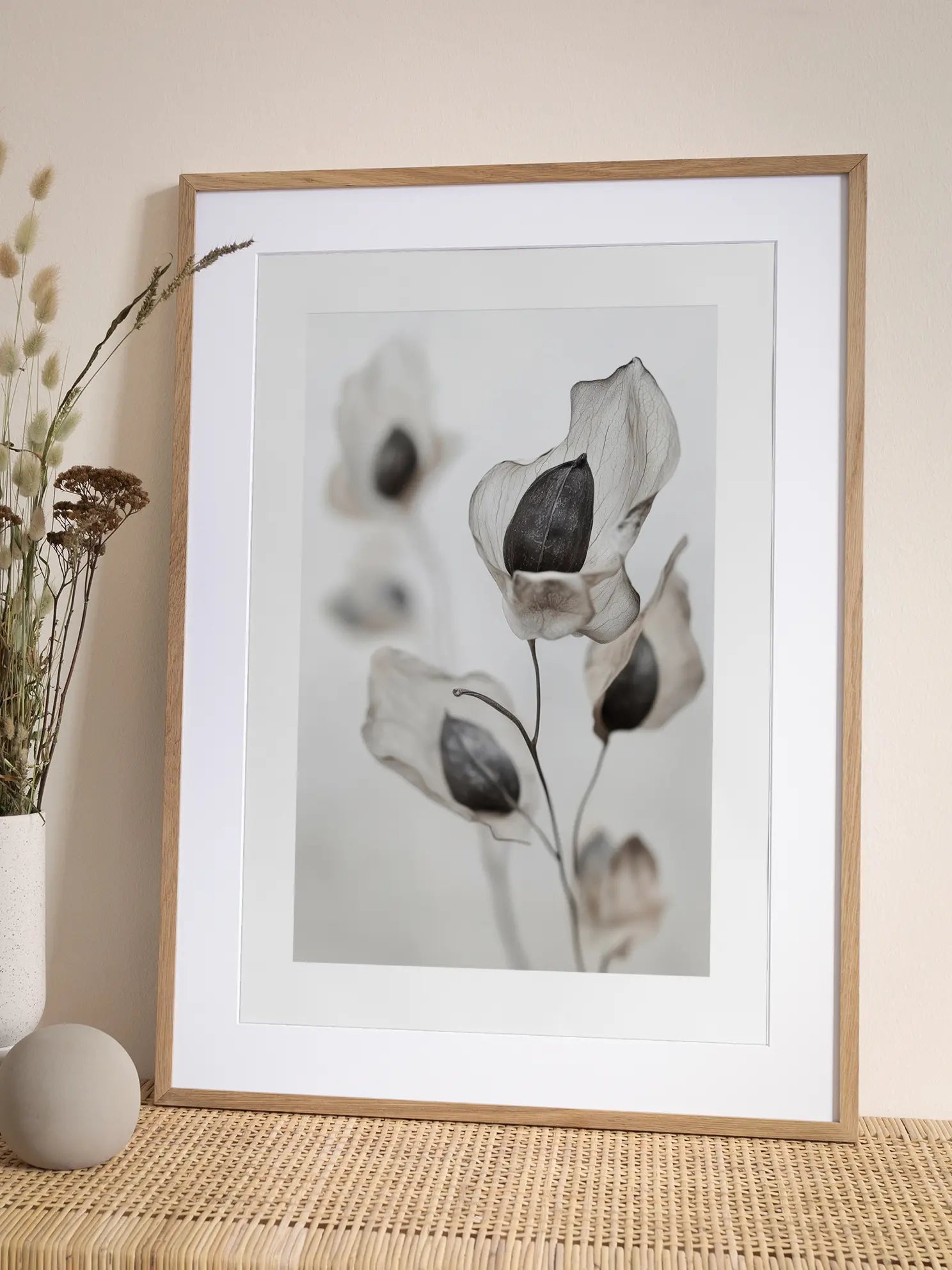 Transparent Petals Poster
