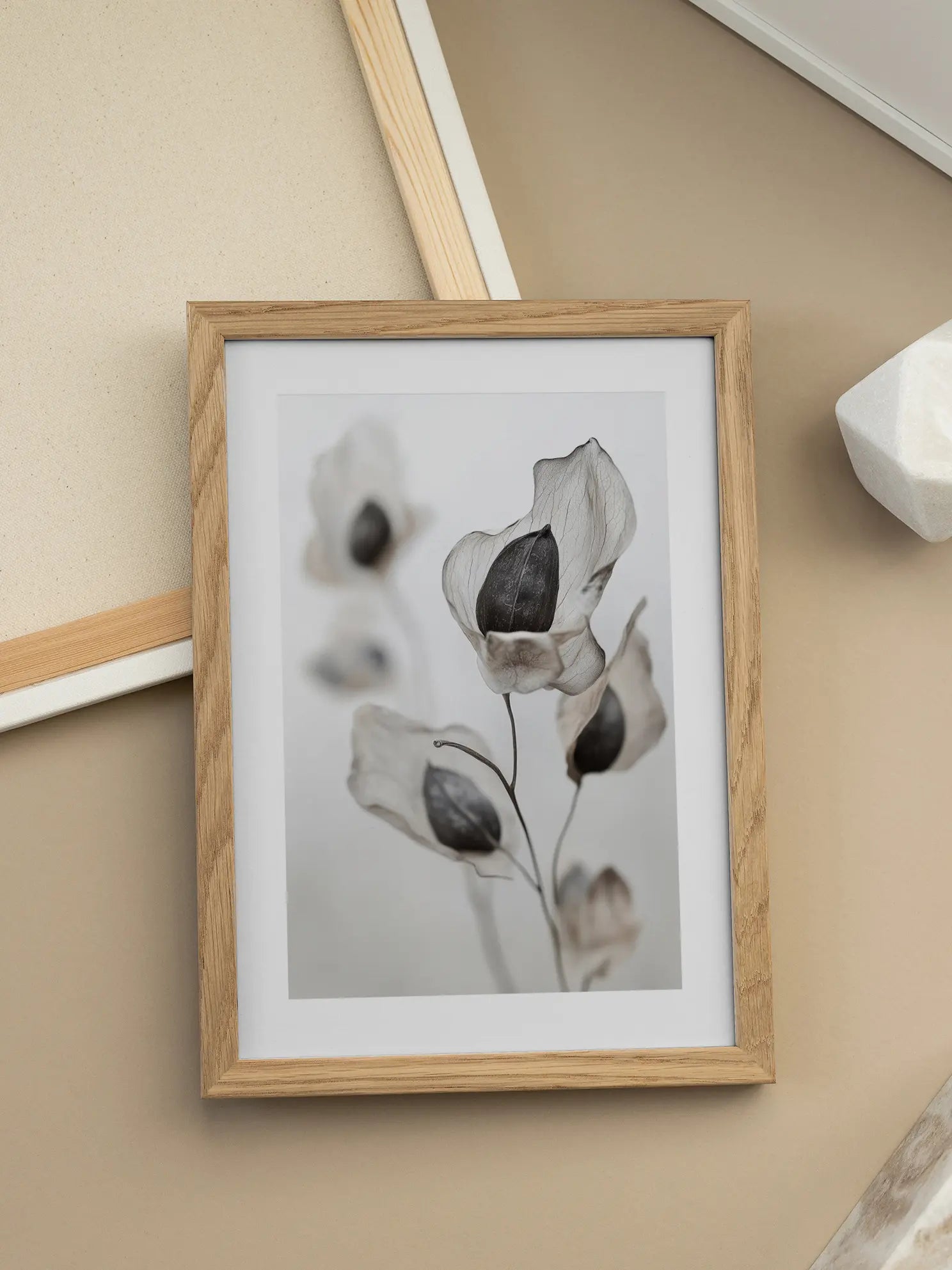 Transparent Petals Poster