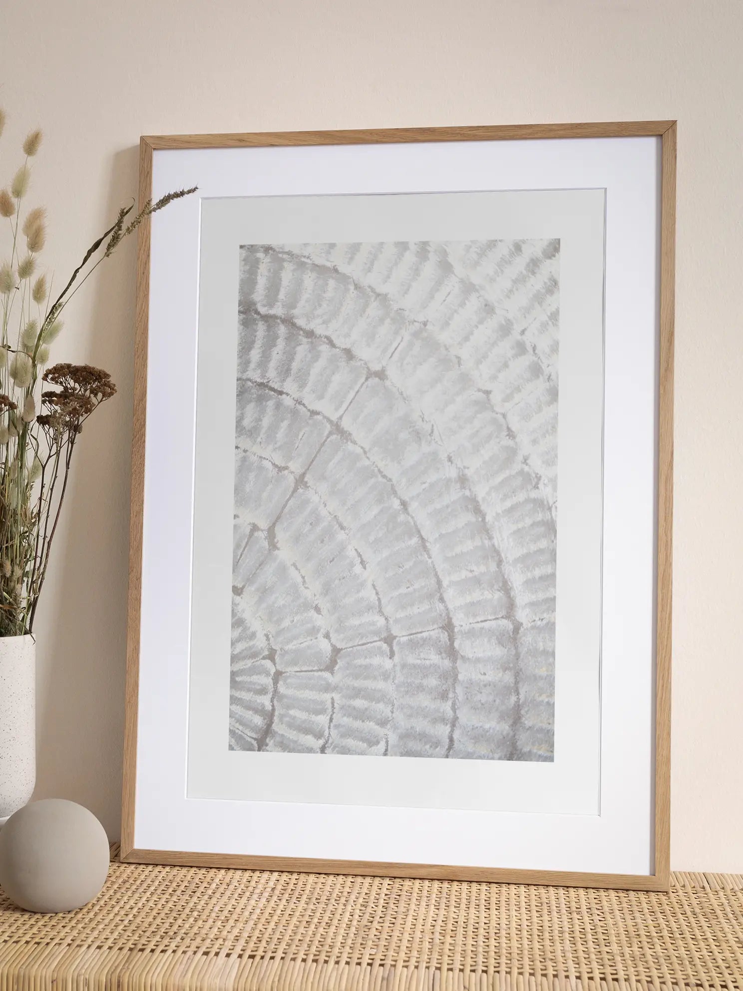 Tree Rings Poster
